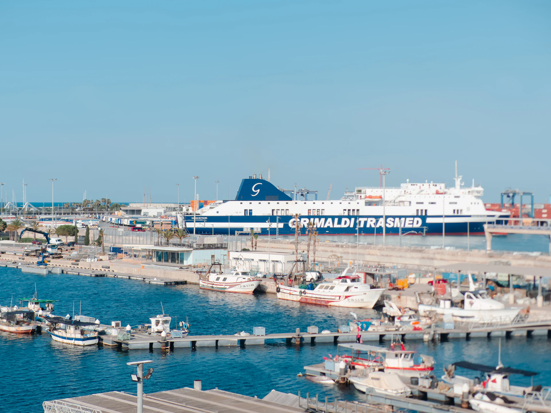 A large Grimaldi Trasmed ferry docked at a busy harbor with small fishing boats