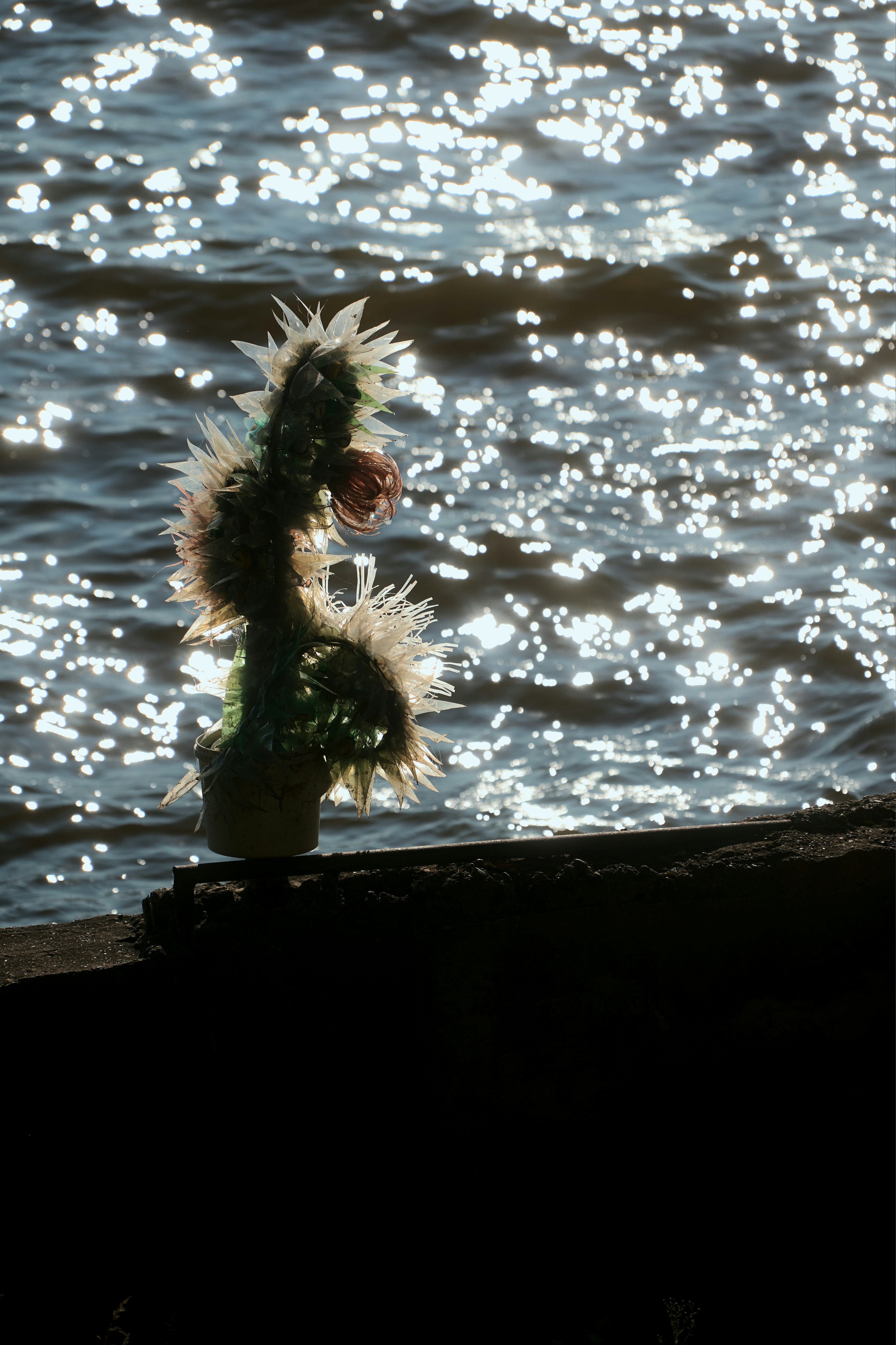 Una pianta di cactus stagliata contro l'acqua frizzante.