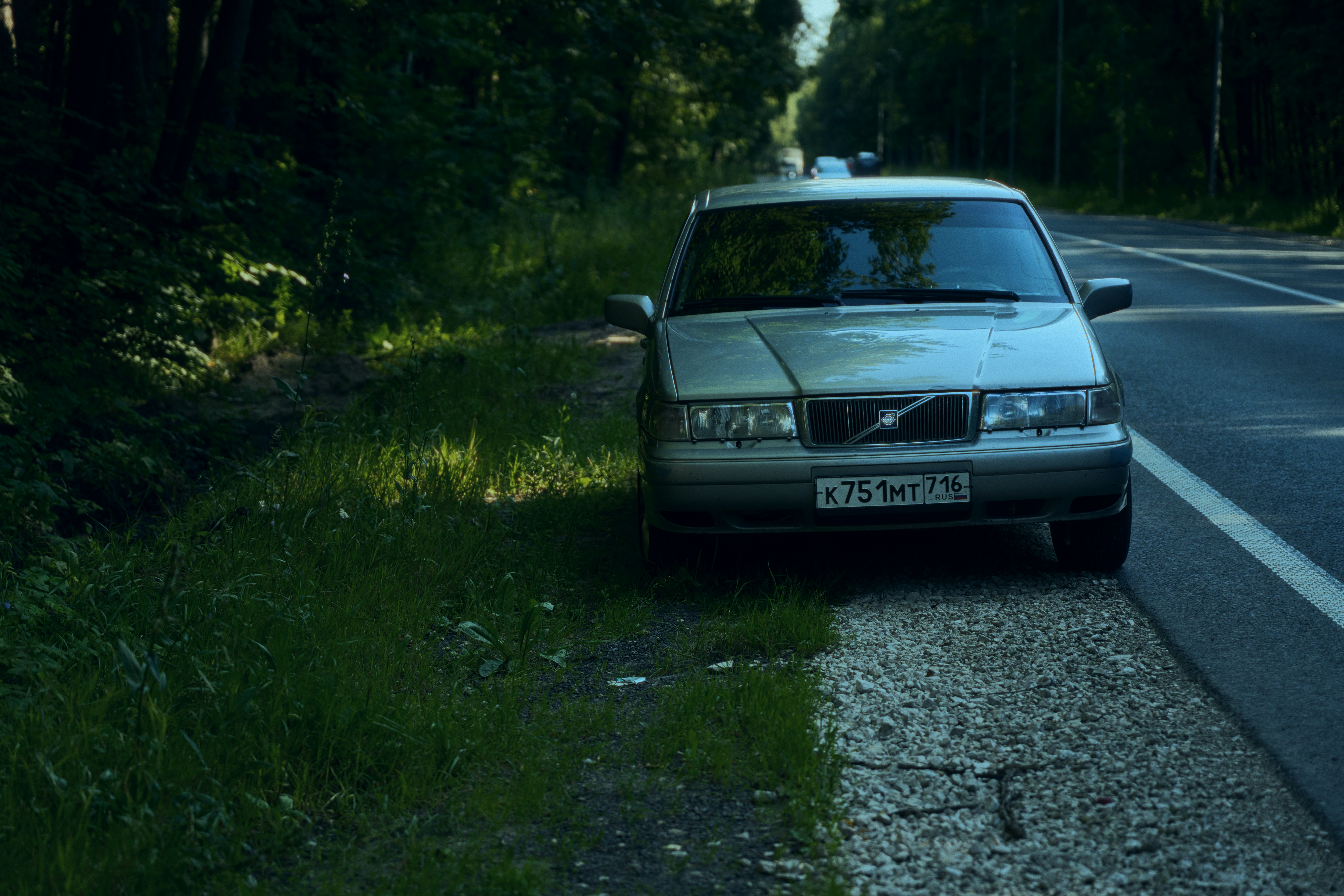 Auto argentata parcheggiata sulla corsia accanto a una foresta verde.