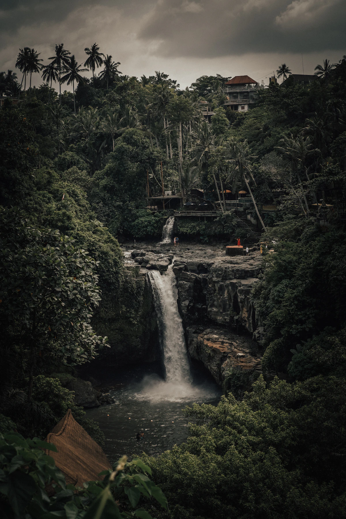 Waterfall surrounded by lush tropical jungle