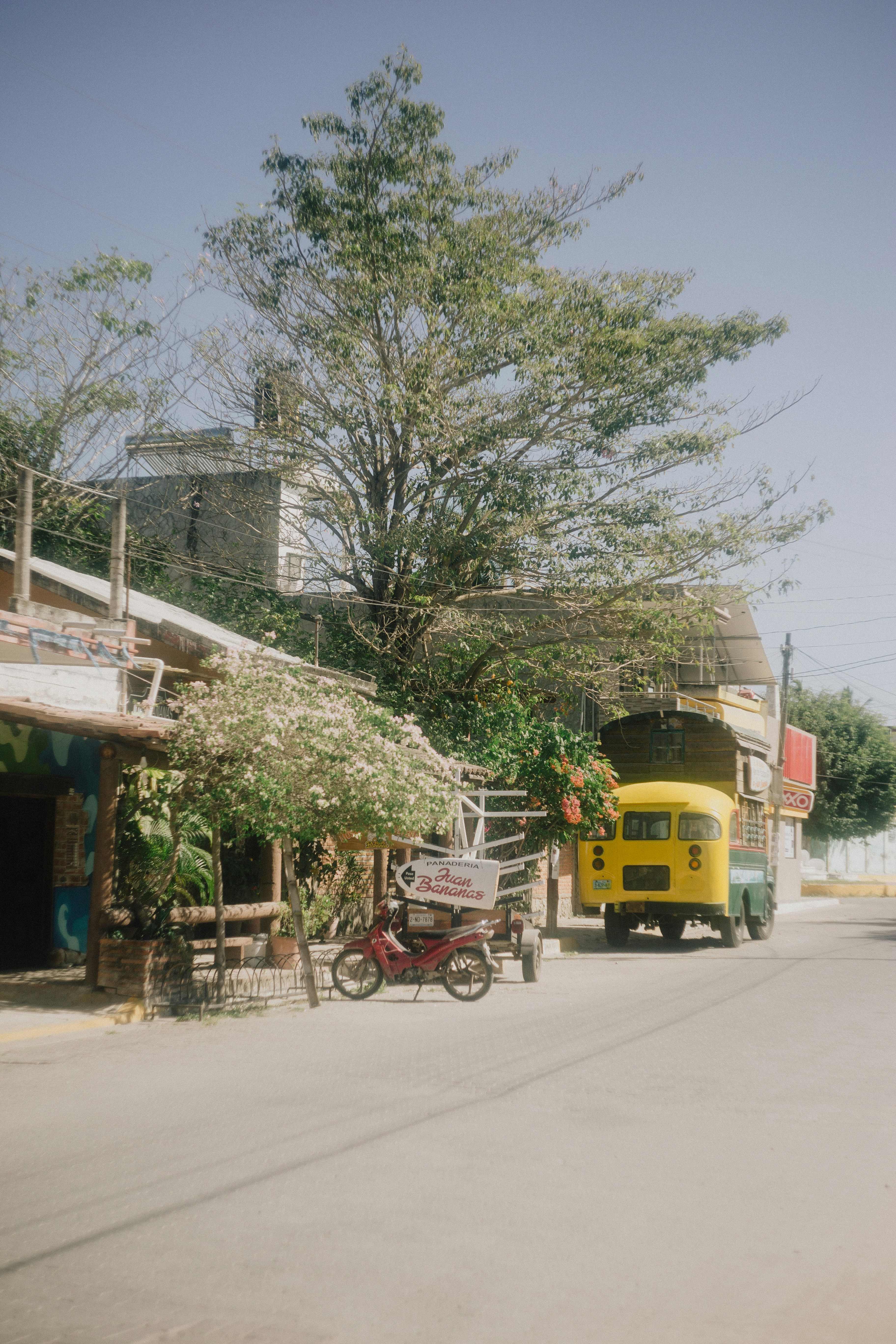 Station Areas and Trakia: Best for Budget Travelers and Drivers