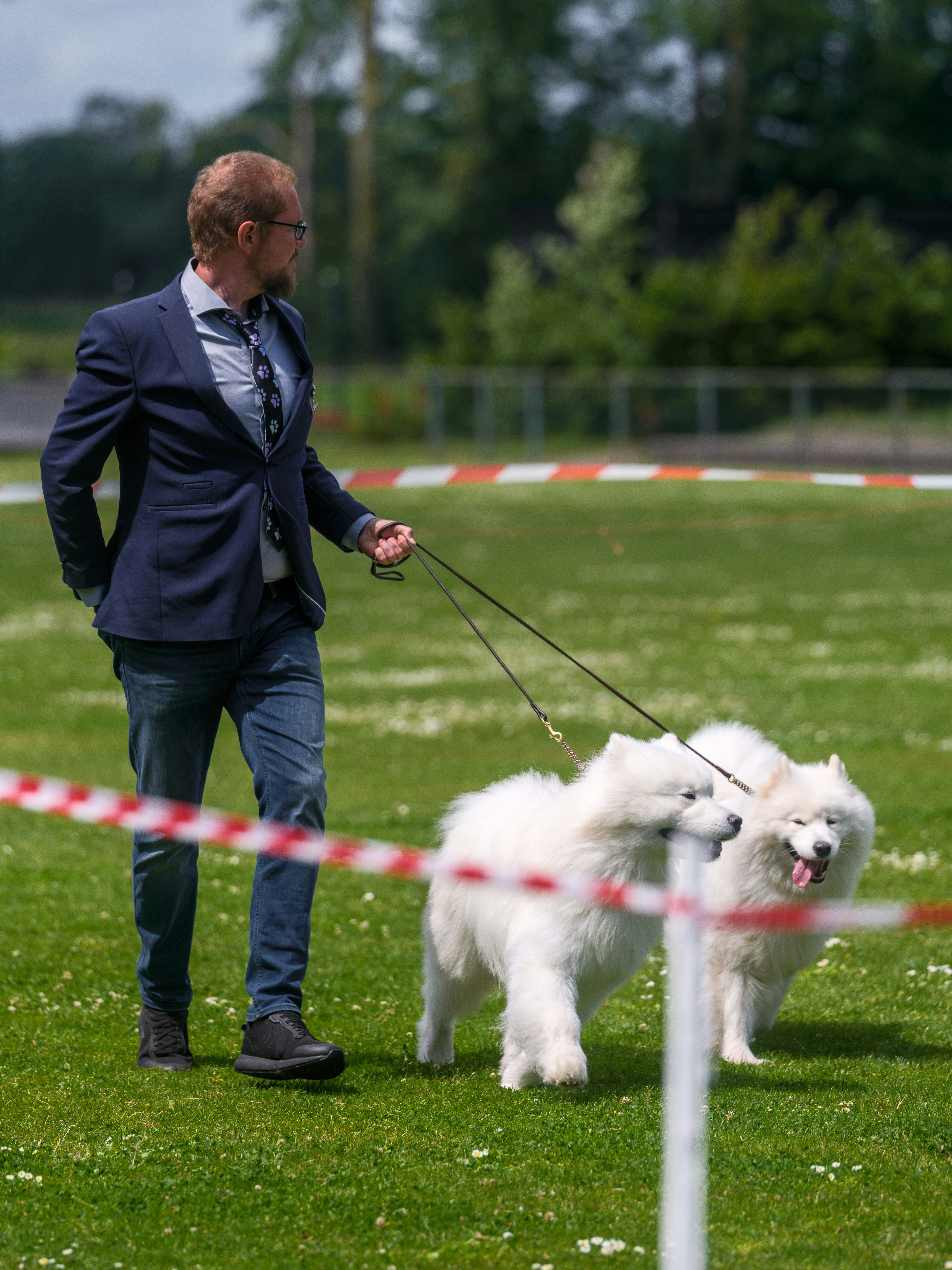 Esteban Barber Dog's (Guilherand-Granges) — Guilherand-Granges