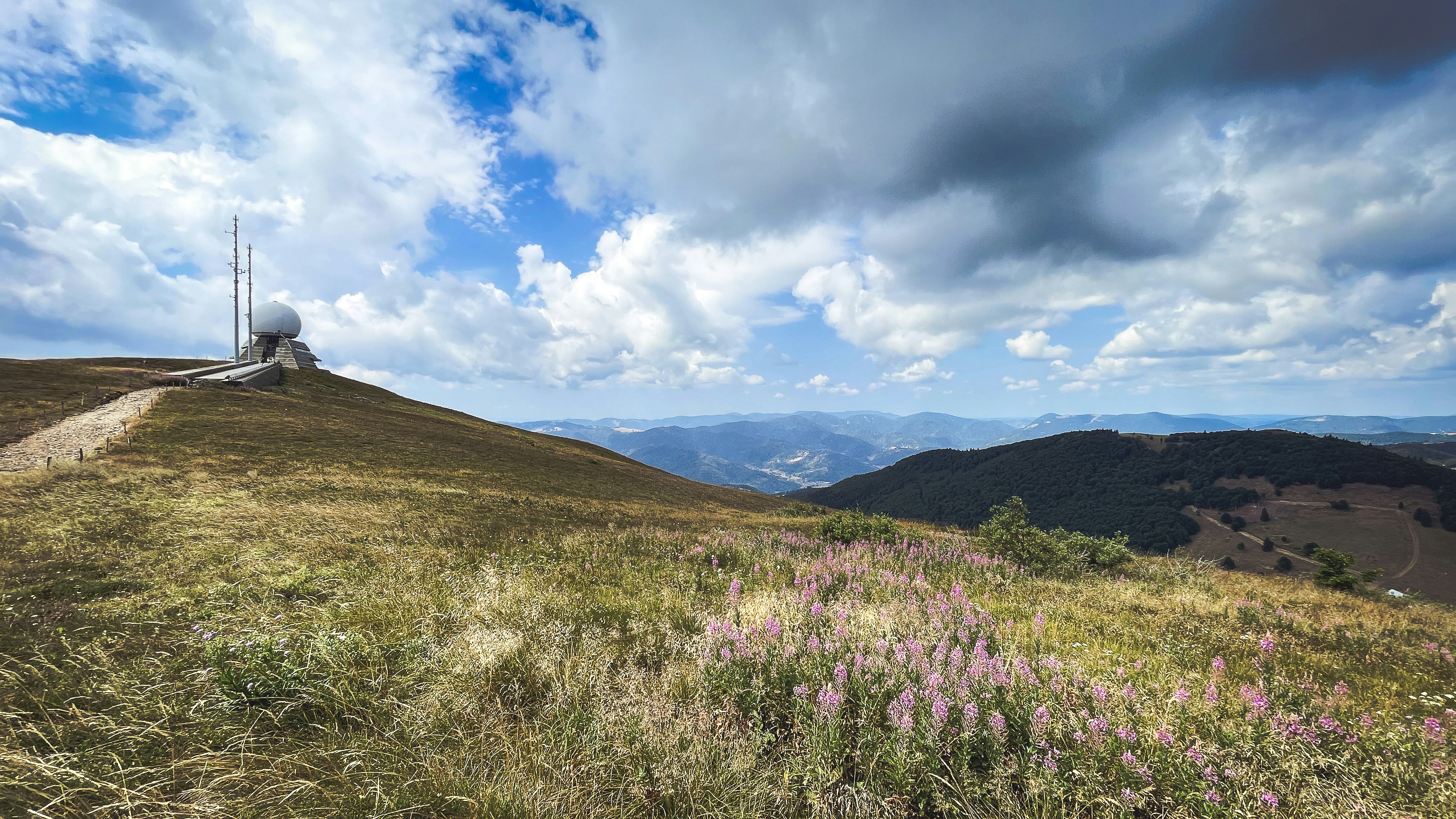Paisagem montanhosa com uma cúpula de radar e flores silvestres roxas.