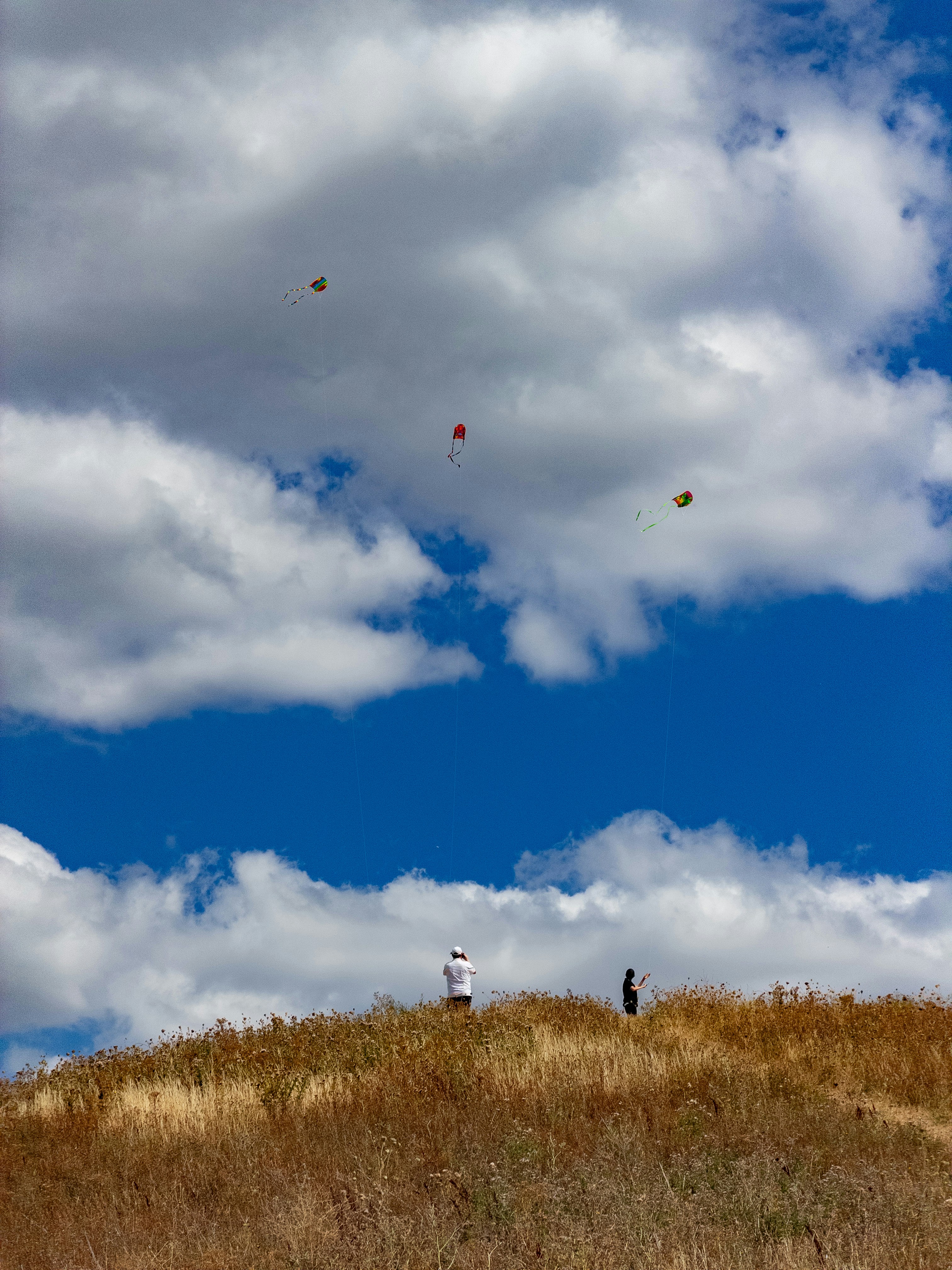 People fly colorful kites on a grassy hill.