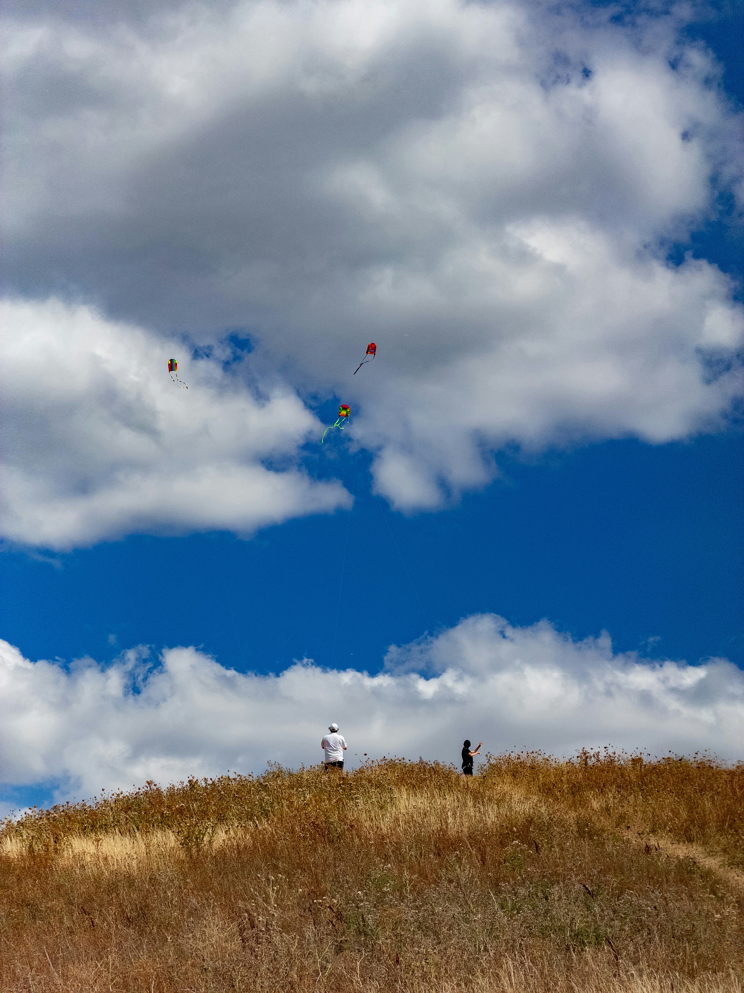 Two people flying kites on a dry grassy hill.