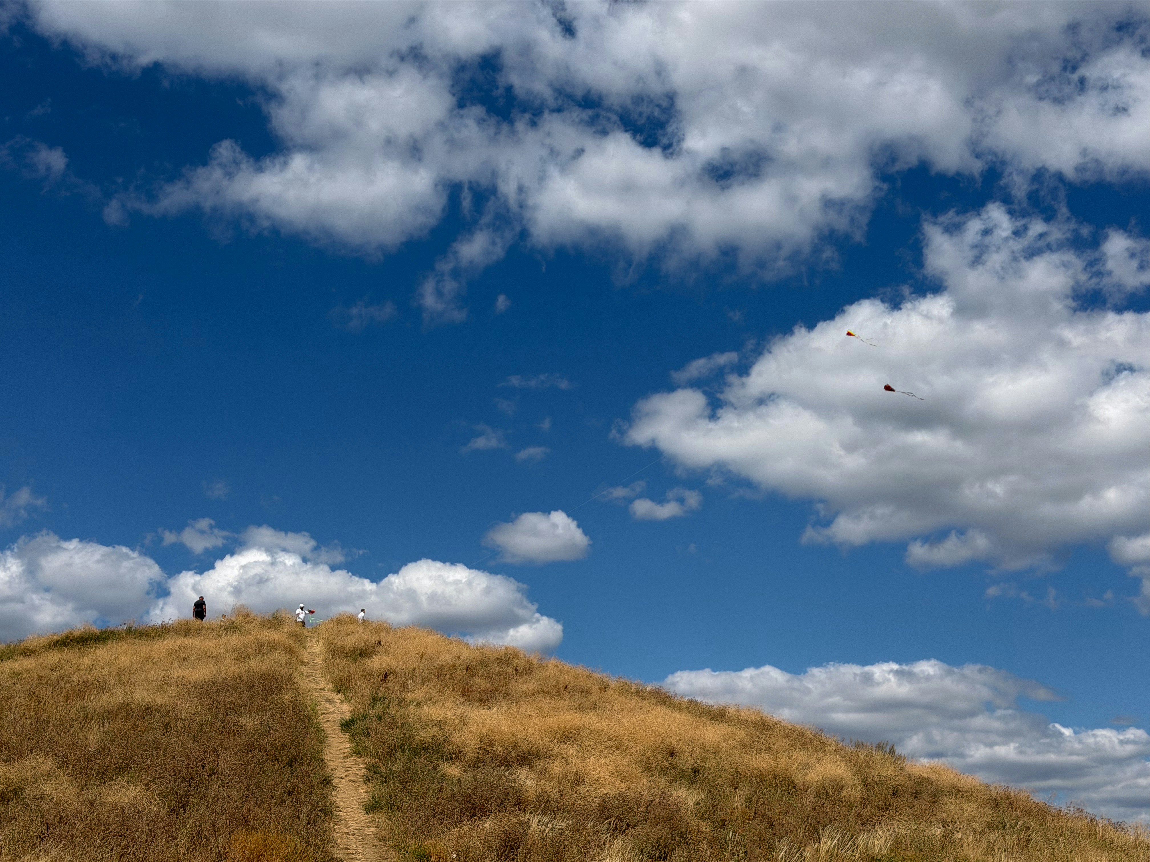 People ascend a dry grassy hill under a blue sky.