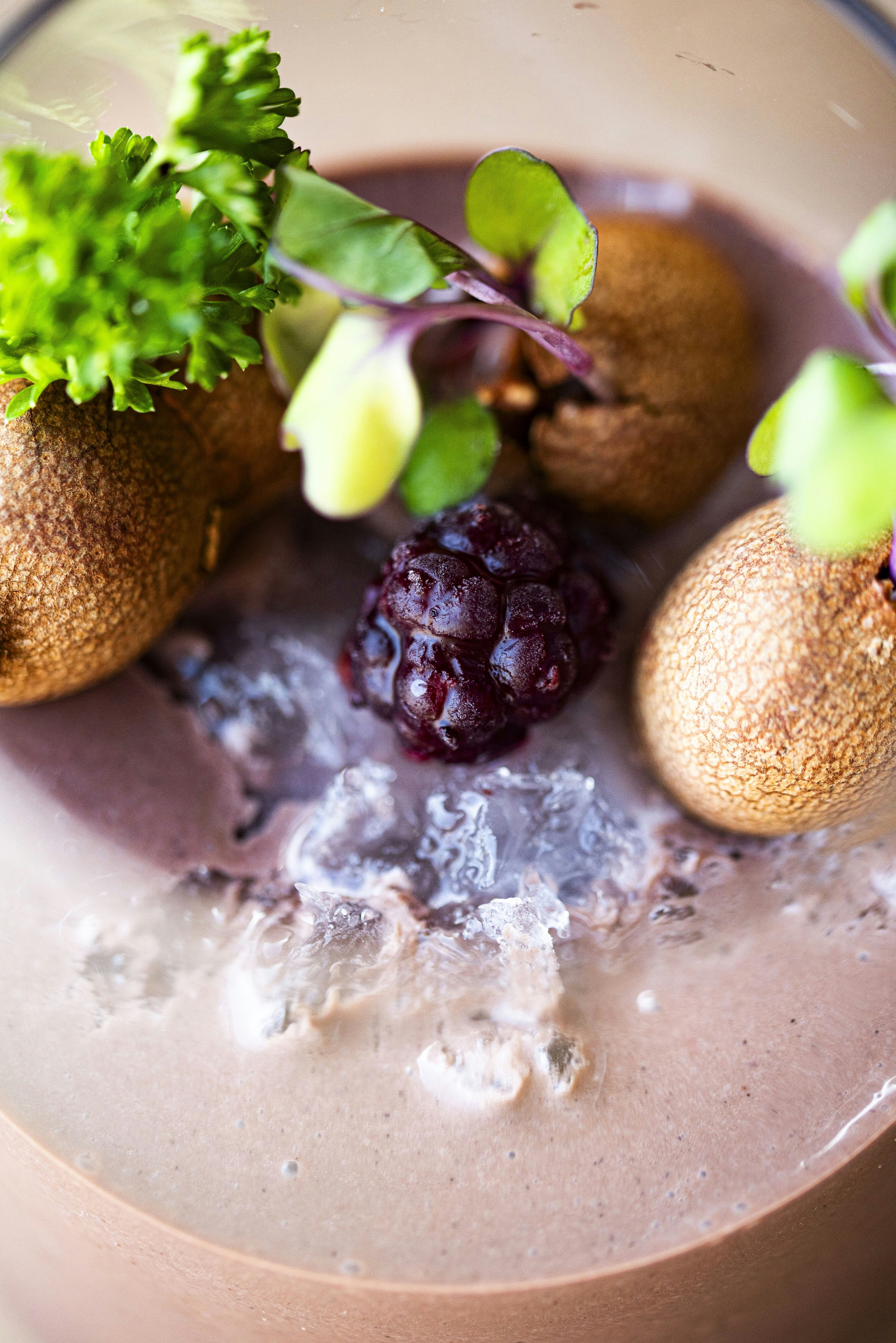 Chocolate mousse dessert garnished with mini kiwis, blackberry, and microgreens