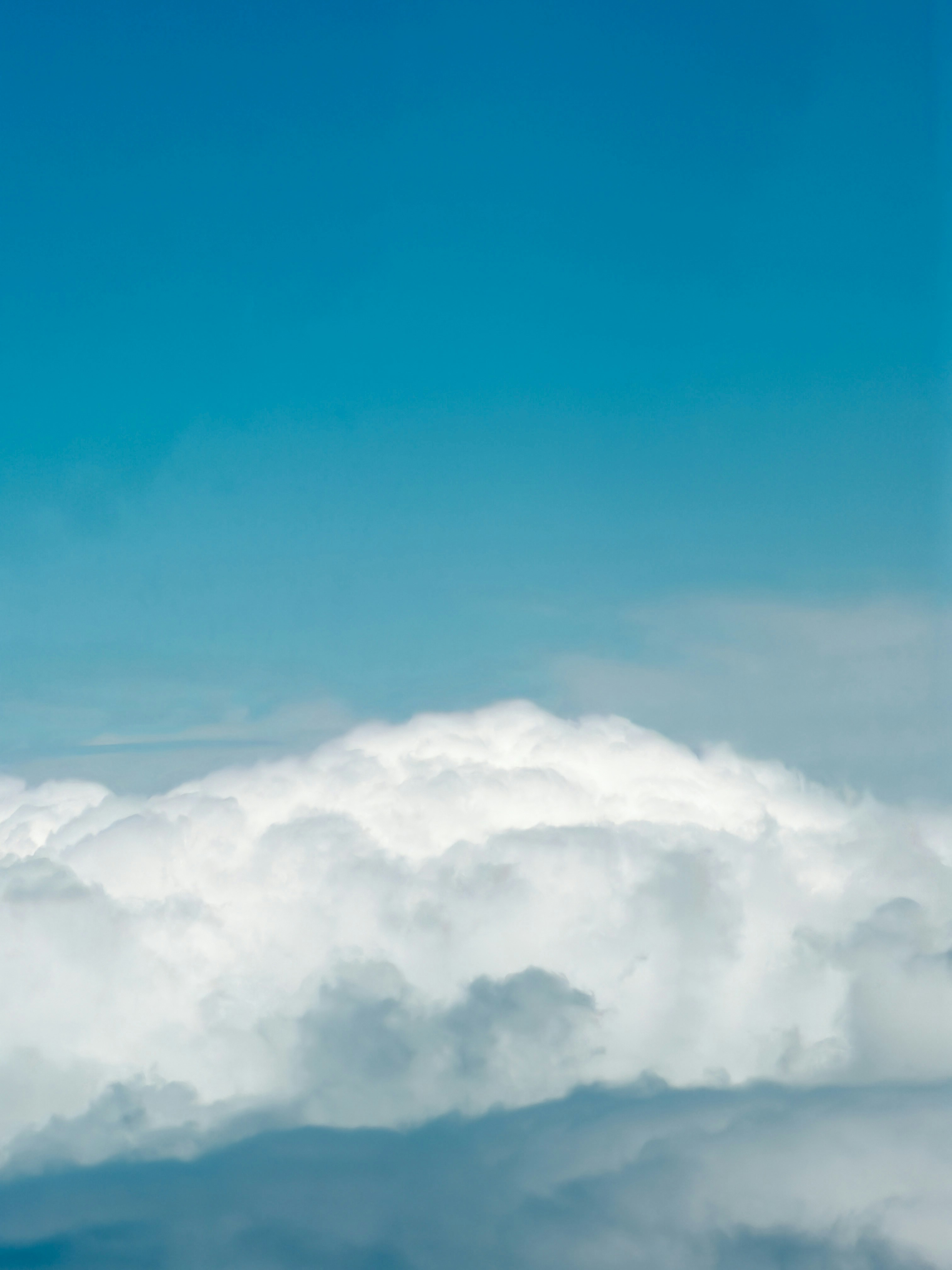 ふわふわの白い雲の海の上に広がる青空