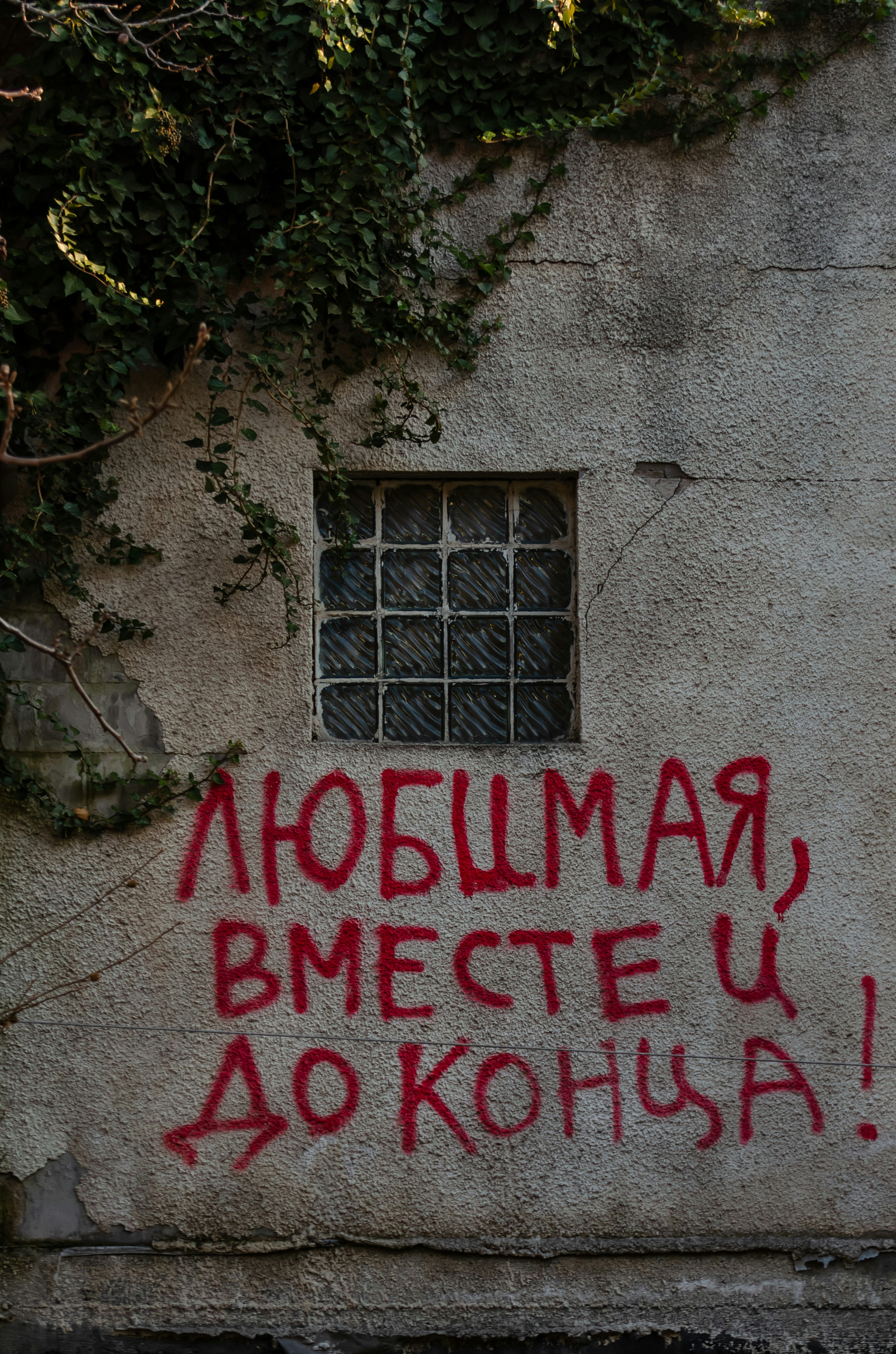 Ivy-covered wall with red graffiti and a glass block window.