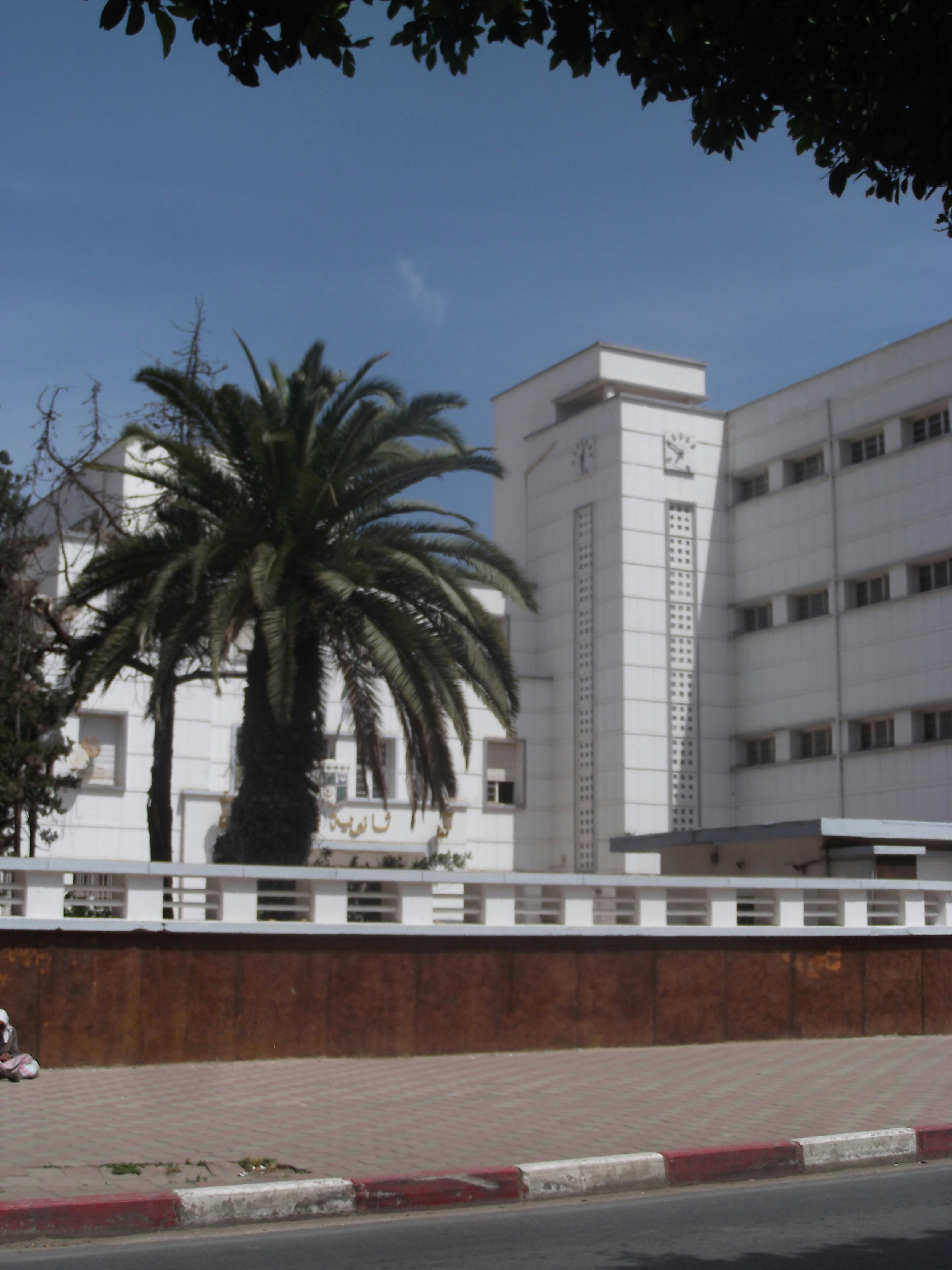 Edificio bianco moderno con una palma prominente.