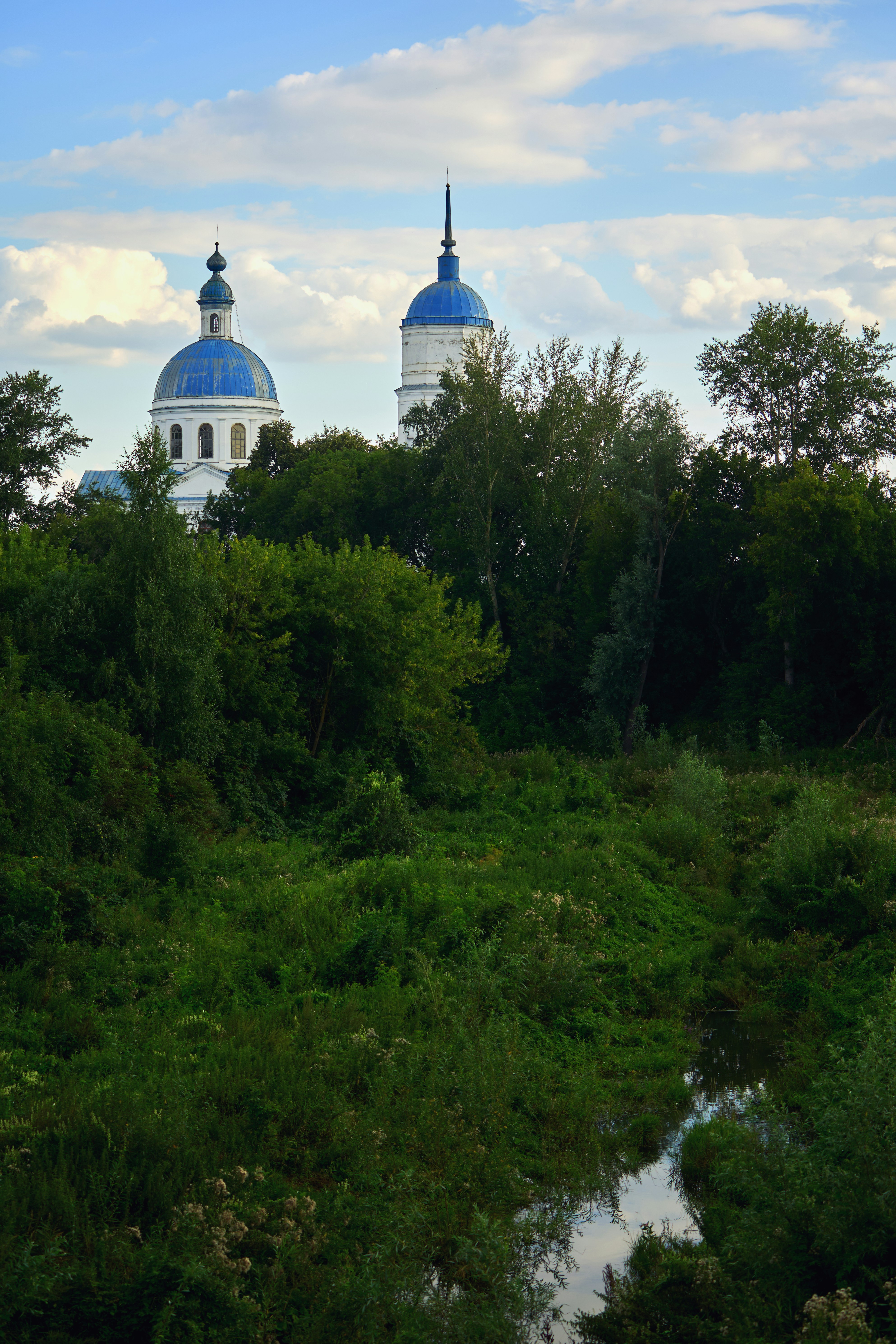 Chiese con cupola blu si affacciano su un fiume tortuoso tra alberi verdi.