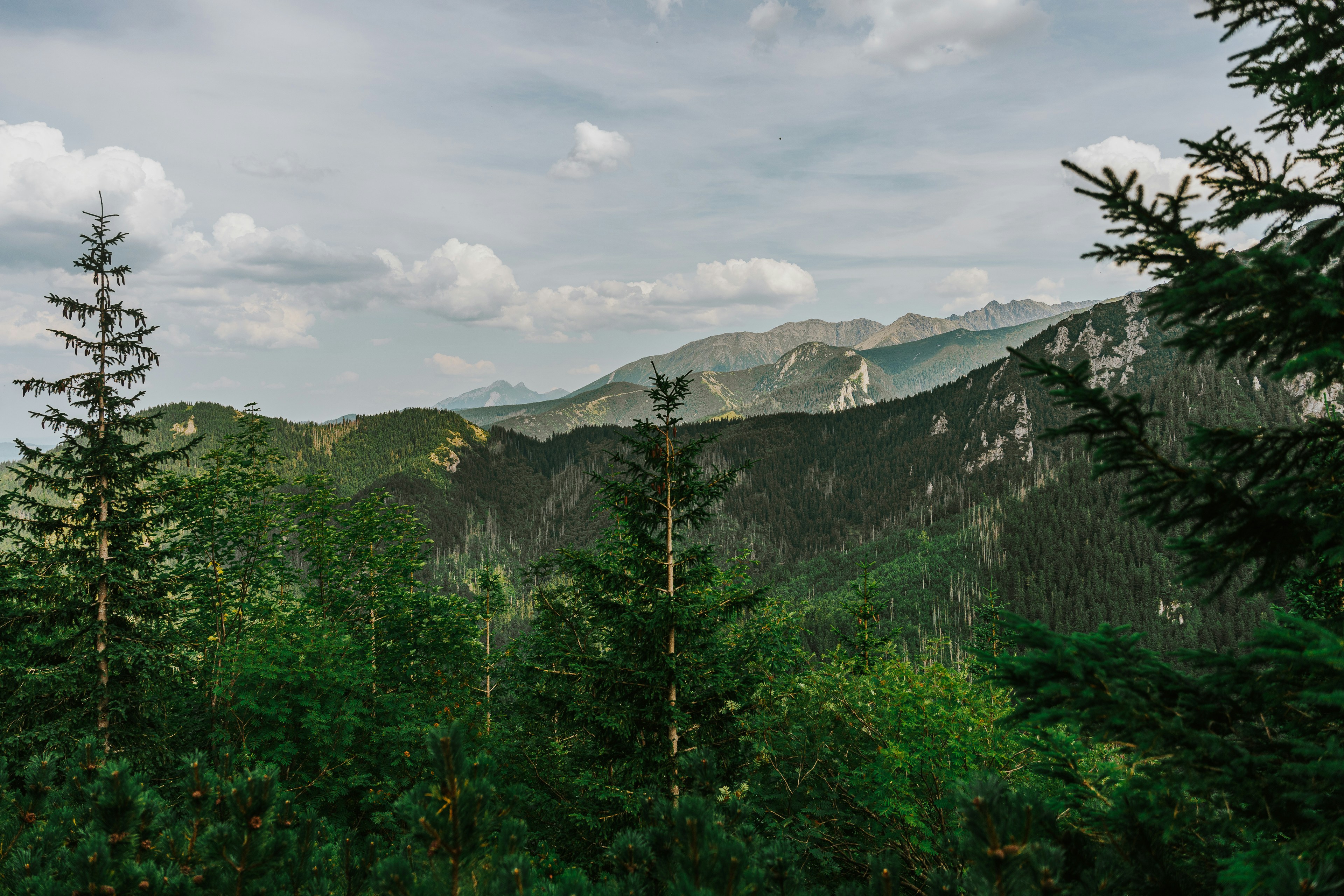 Green forest and mountains under a cloudy sky.