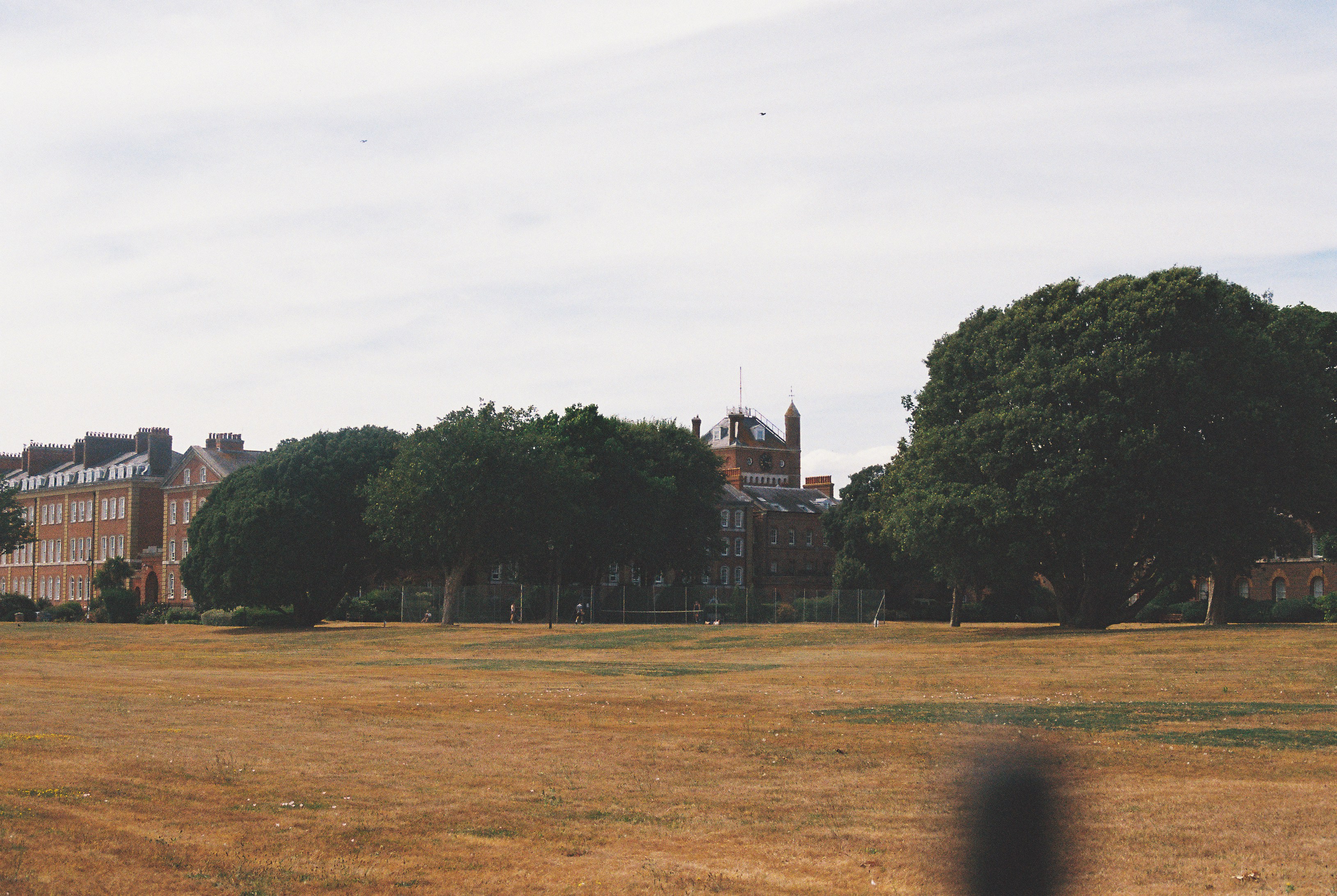 Historic building behind trees and dry field