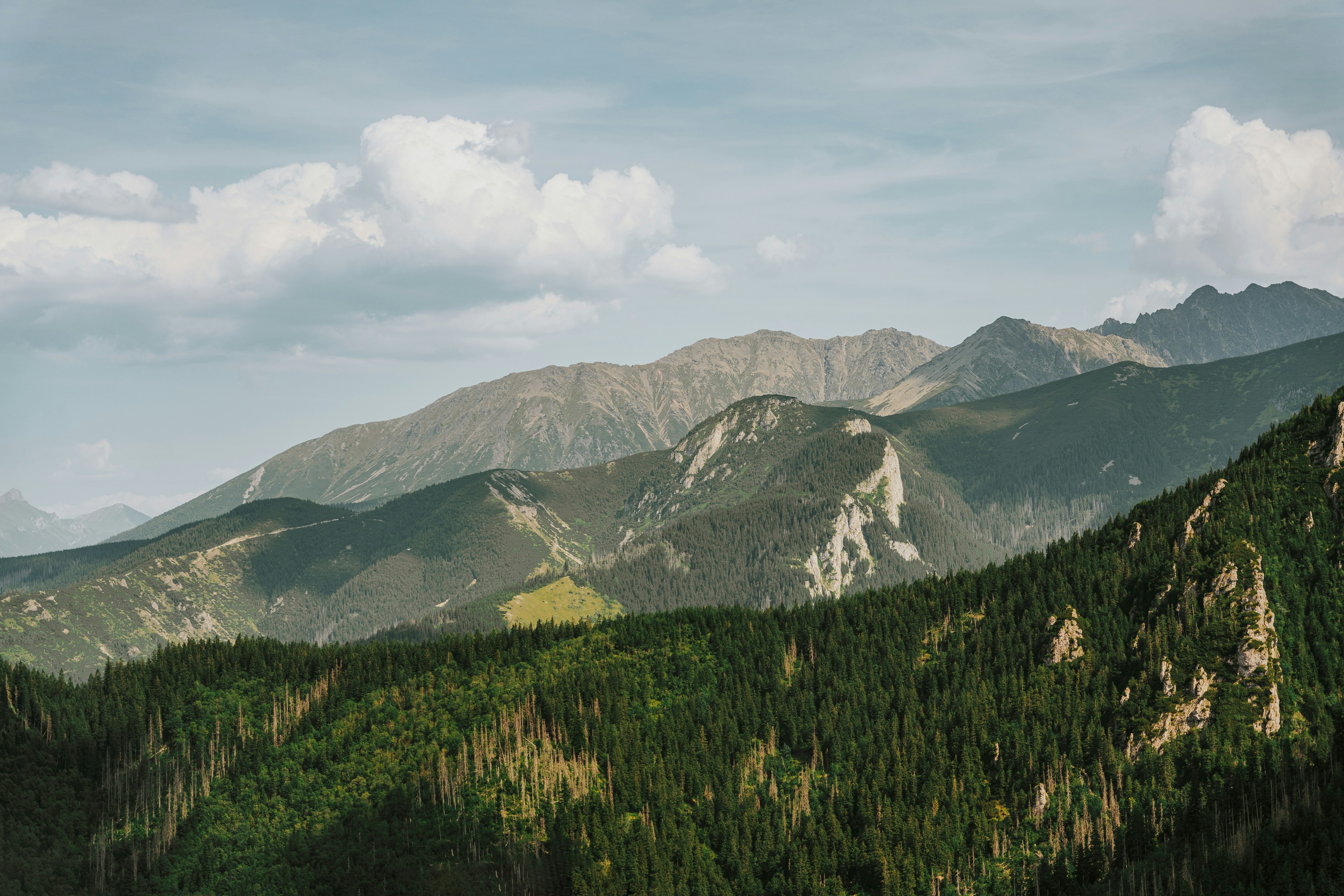 Lush green forests cover majestic mountains under a cloudy sky.