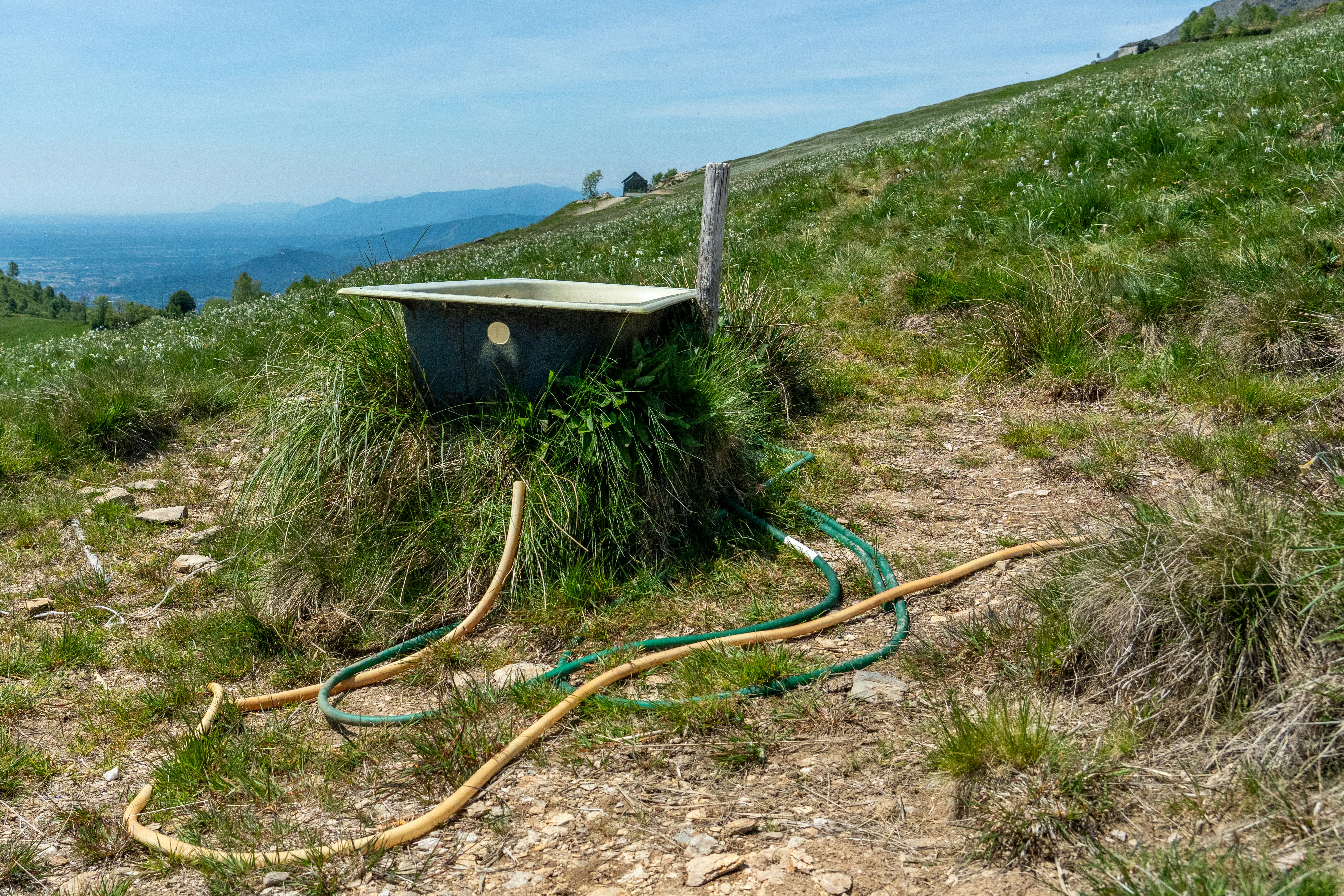 An old bathtub sits on a grassy hill with hoses