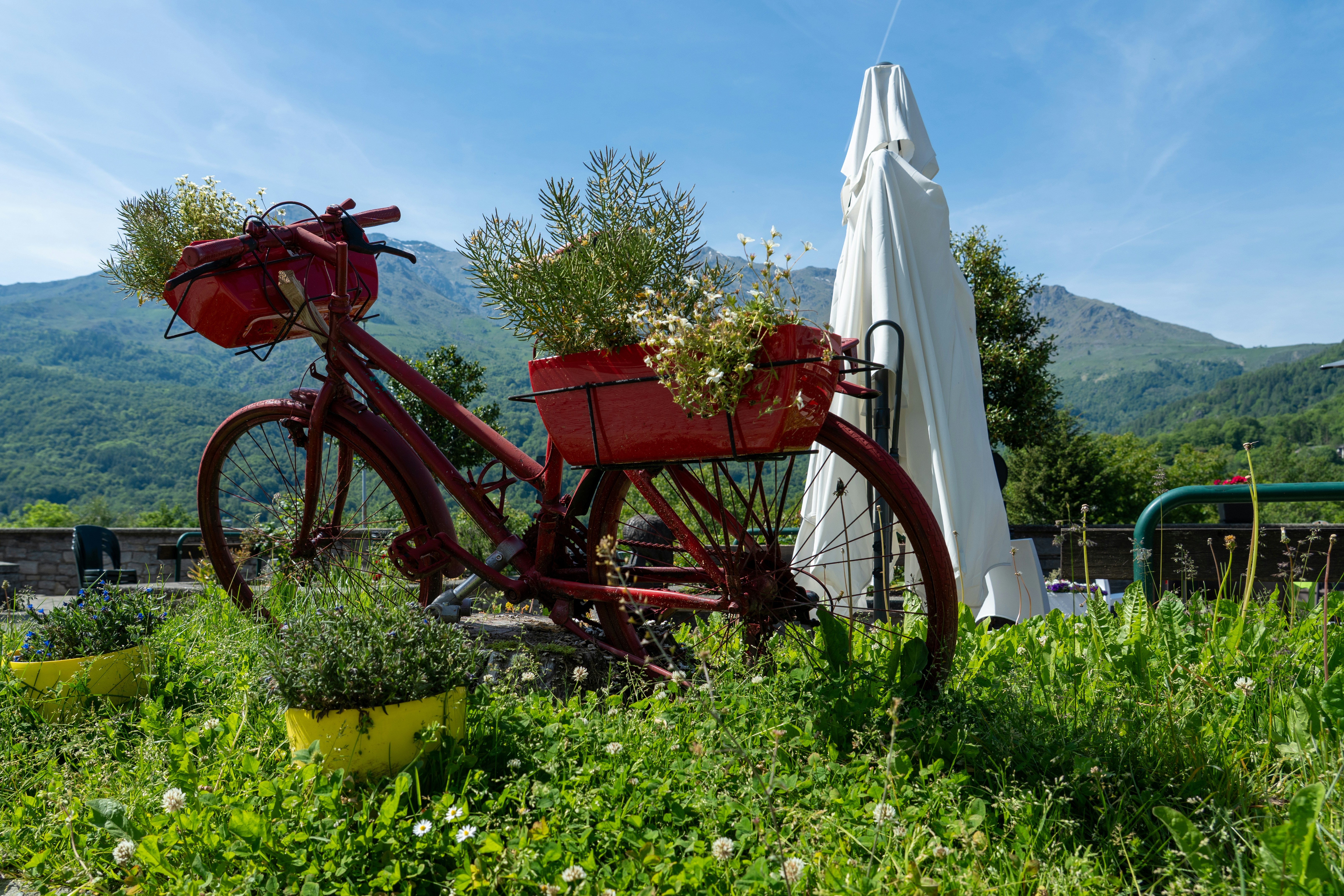 Red bicycle with flowers in a grassy mountain landscape