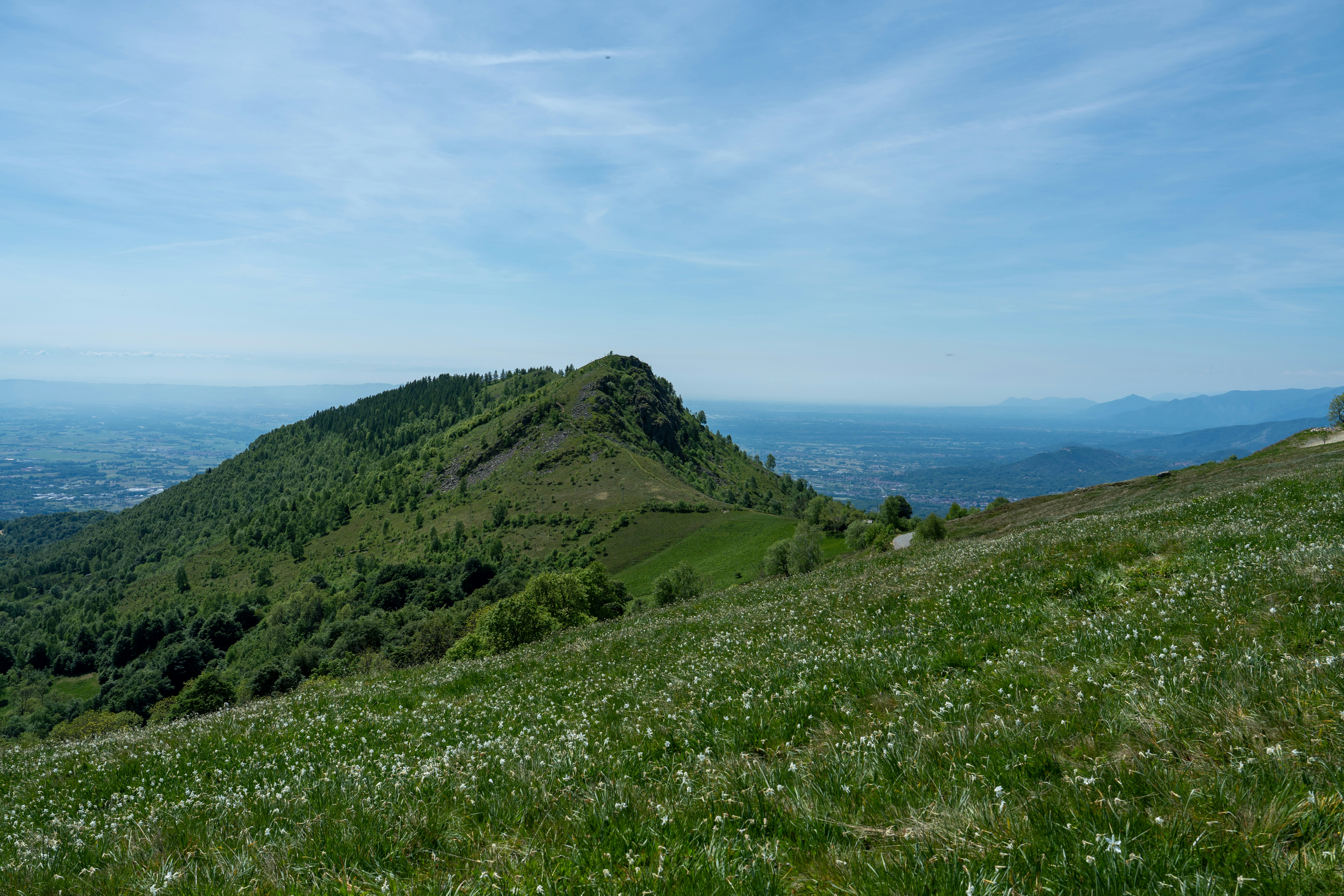 Lush green mountain peak and a field of white flowers