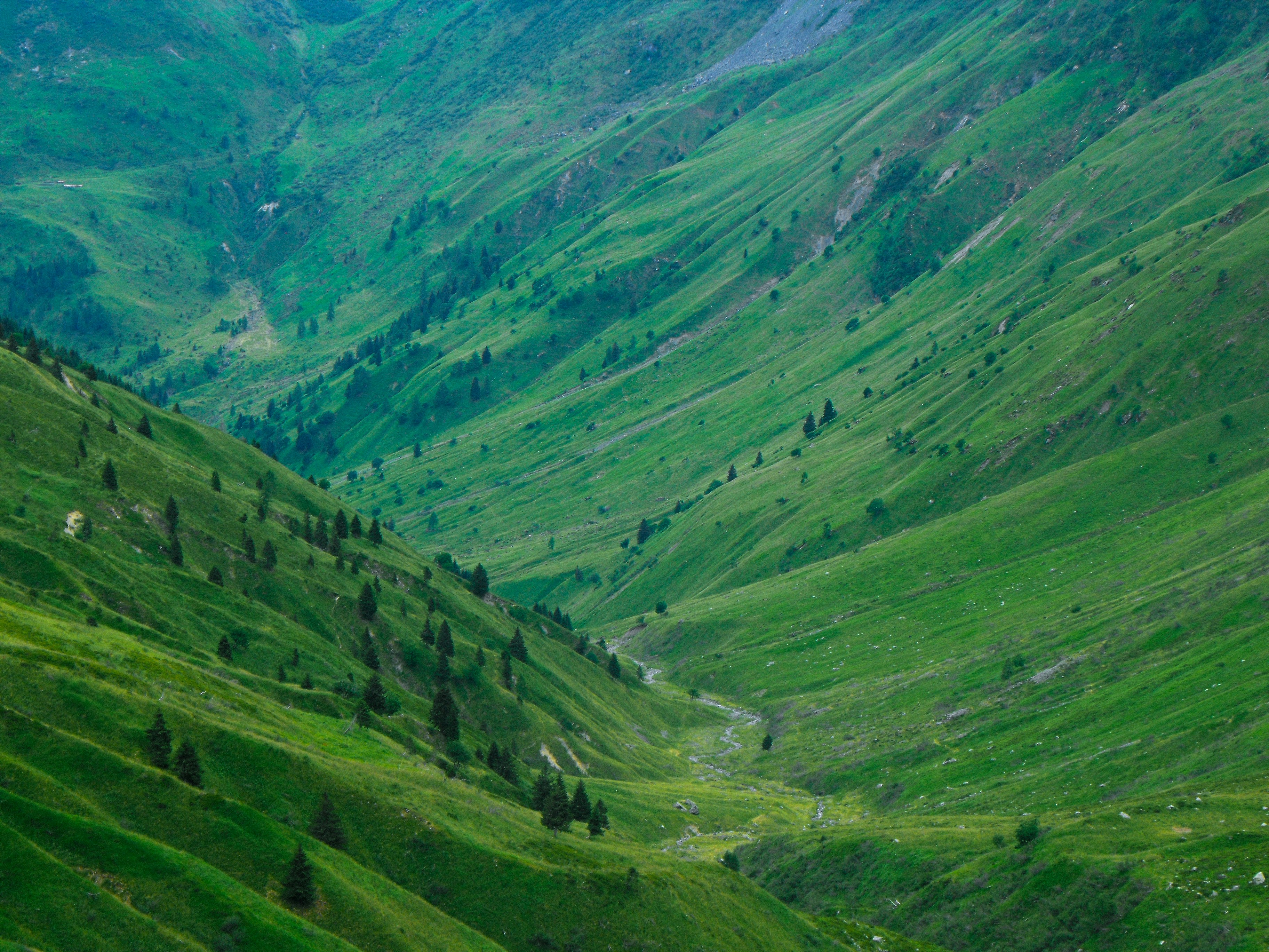 Green mountain valley with sparse trees and a winding path - Free Photo ...