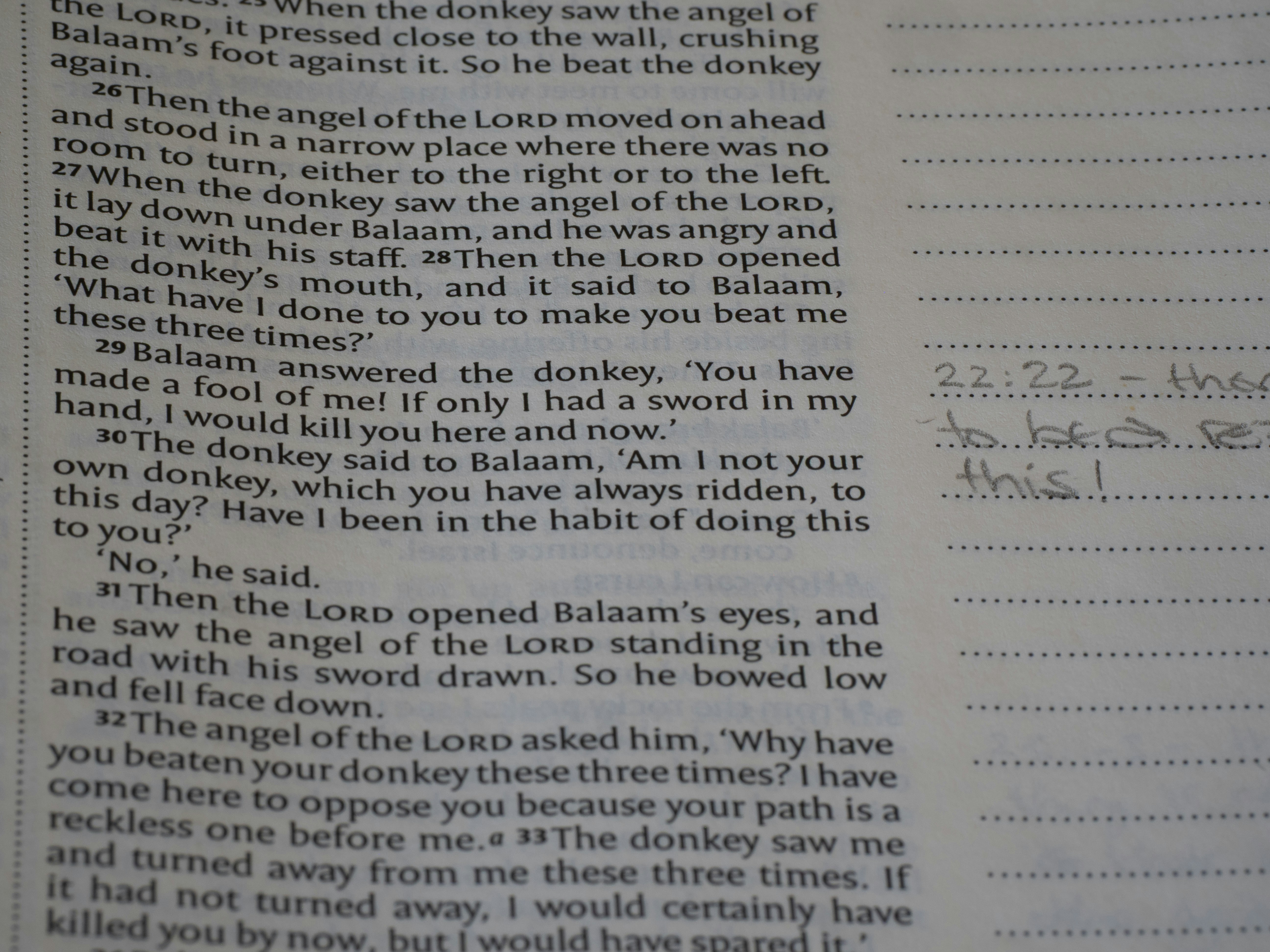A book page displaying bible text and handwritten notes.
