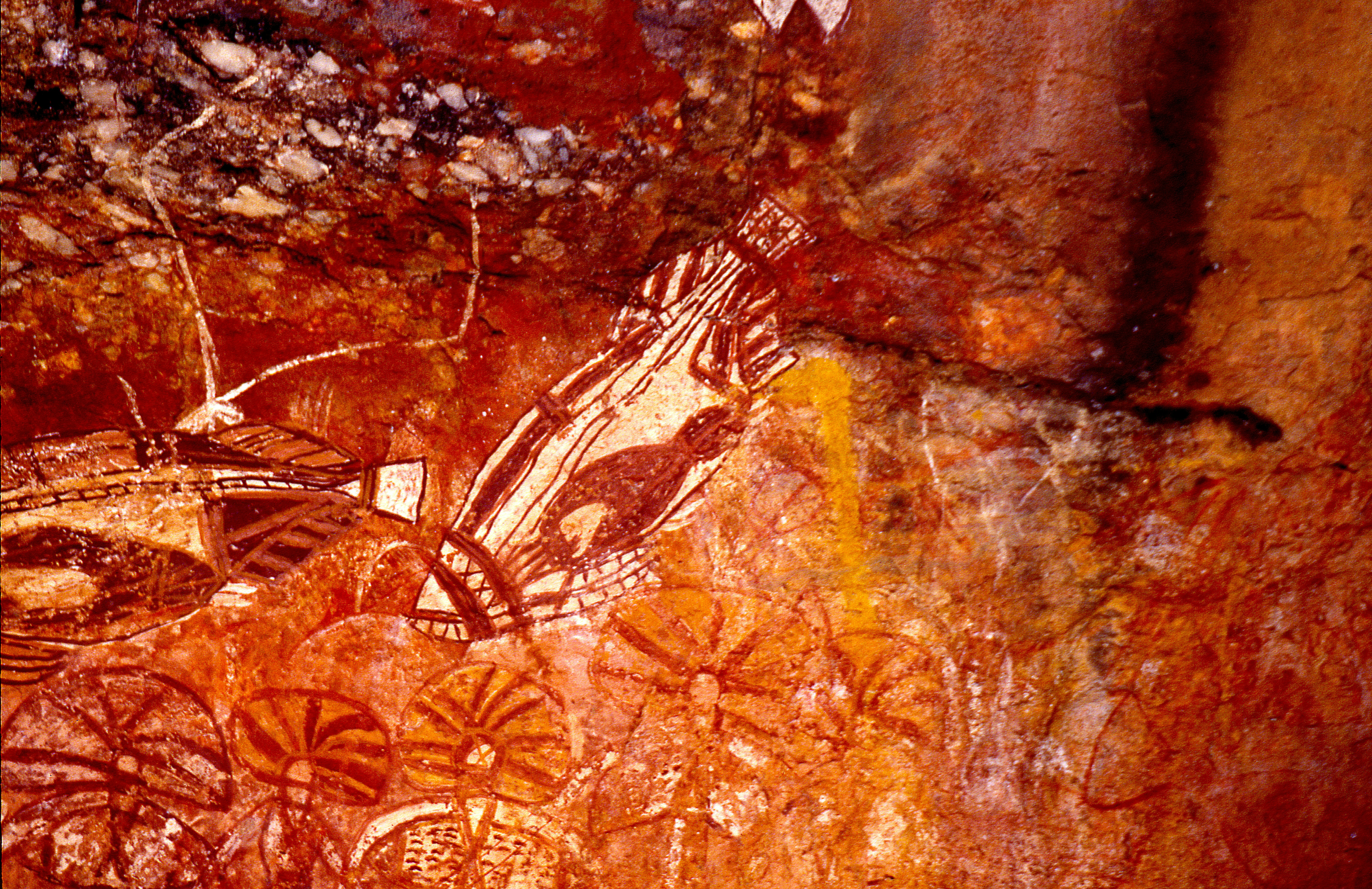 古代の岩絵は、質感のある石壁に描かれた魚や花の模様を描いています。