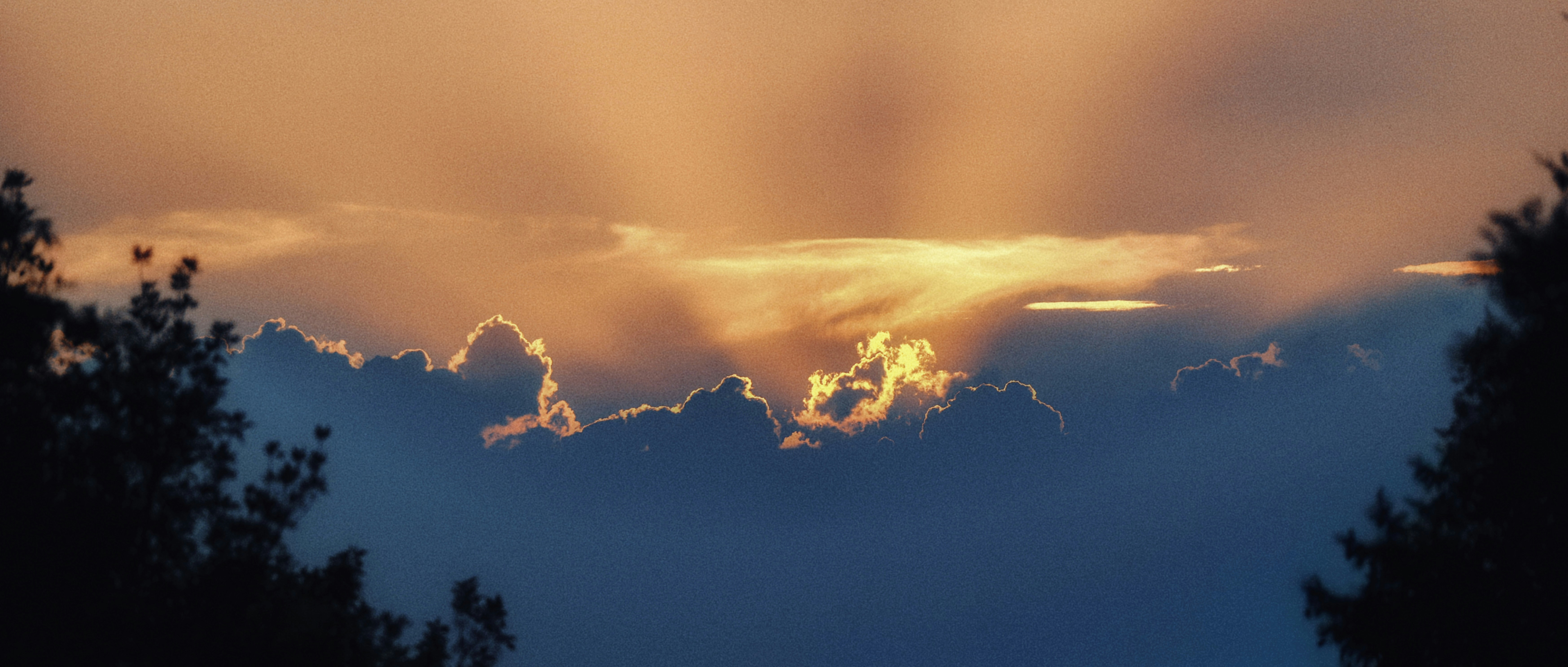 Golden sunset rays pierce through dark clouds above trees