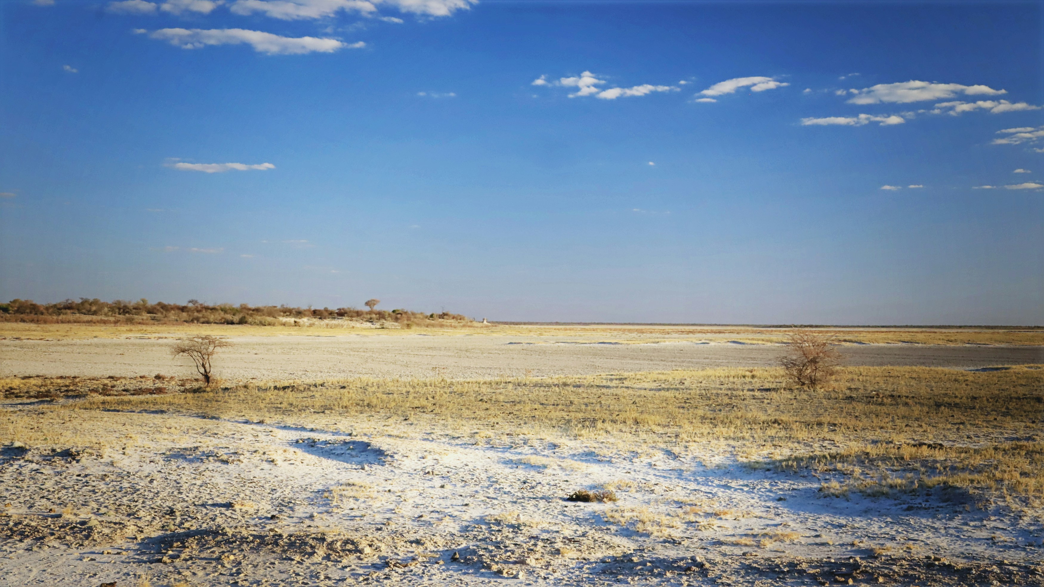 Vast Dry Salt Pan Landscape Under a Clear Blue Sky