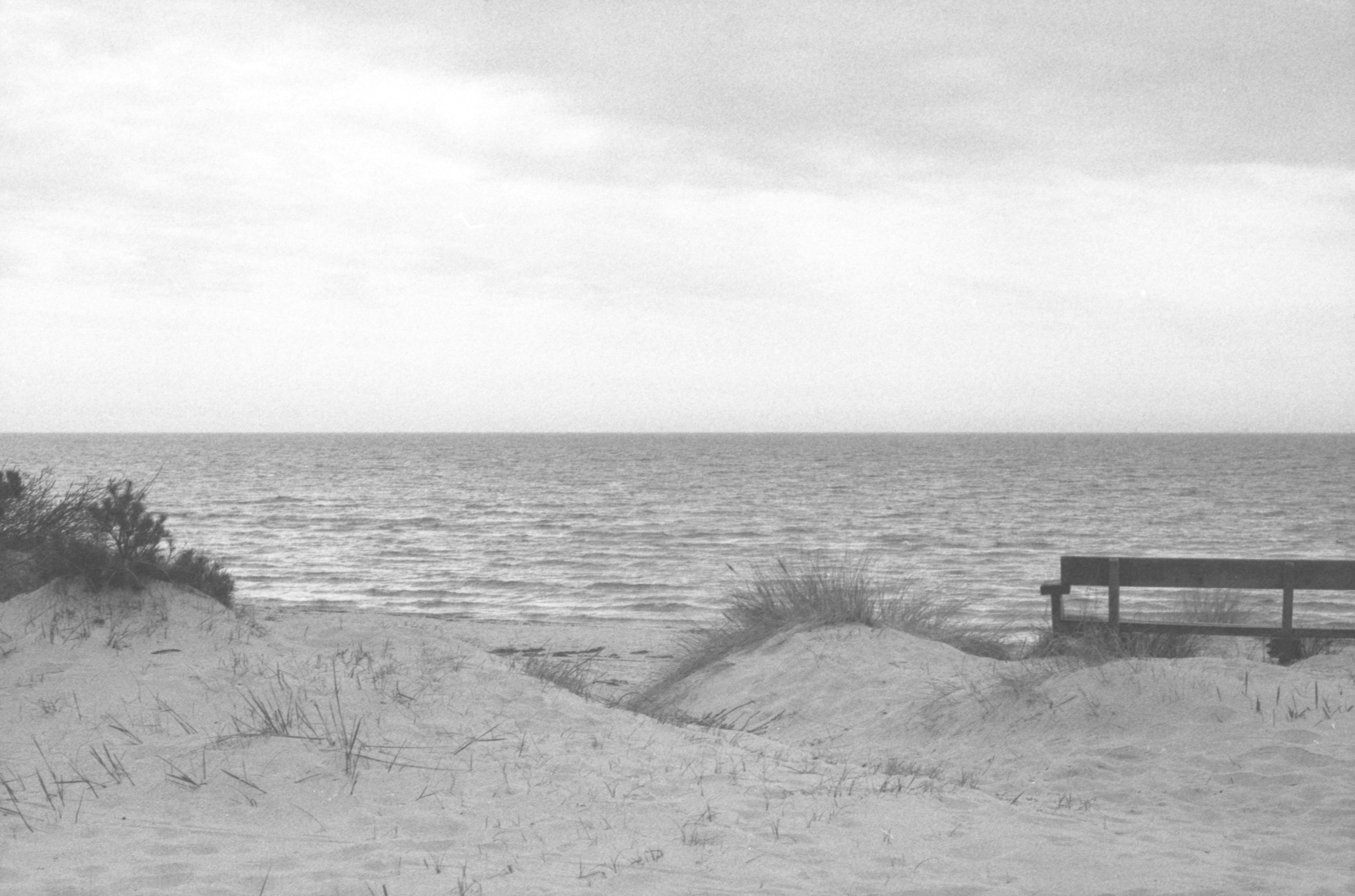 Sandy beach with ocean, cloudy sky, and a lone bench.