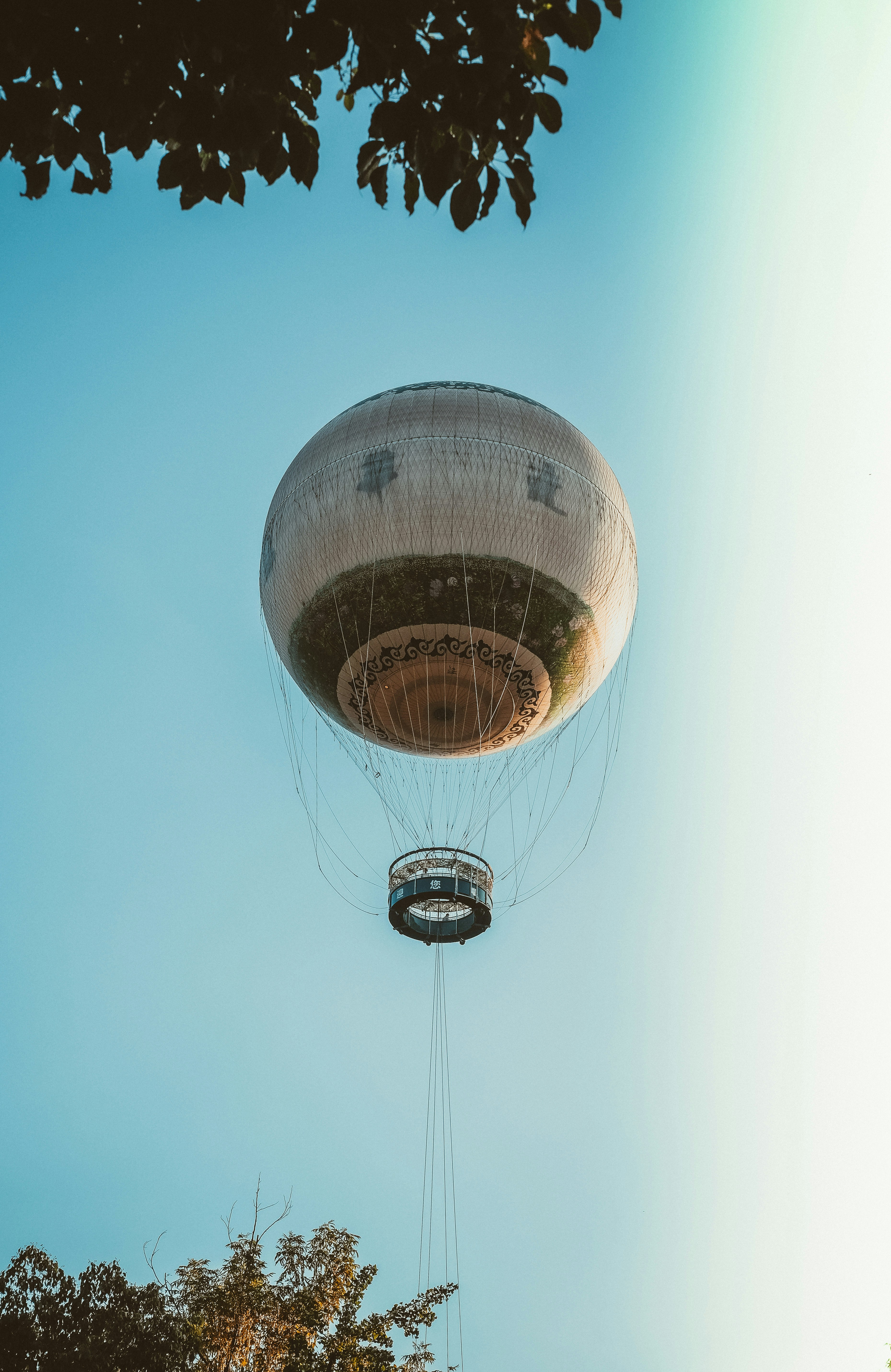 Ein festgebundener Heliumballon, der an einem klaren blauen Himmel über den Baumwipfeln schwebt.