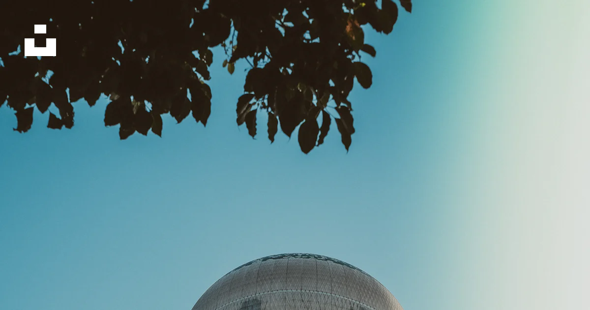 Balloon Tree Graph Tethered helium balloon in blue sky - Free Photo on Unsplash