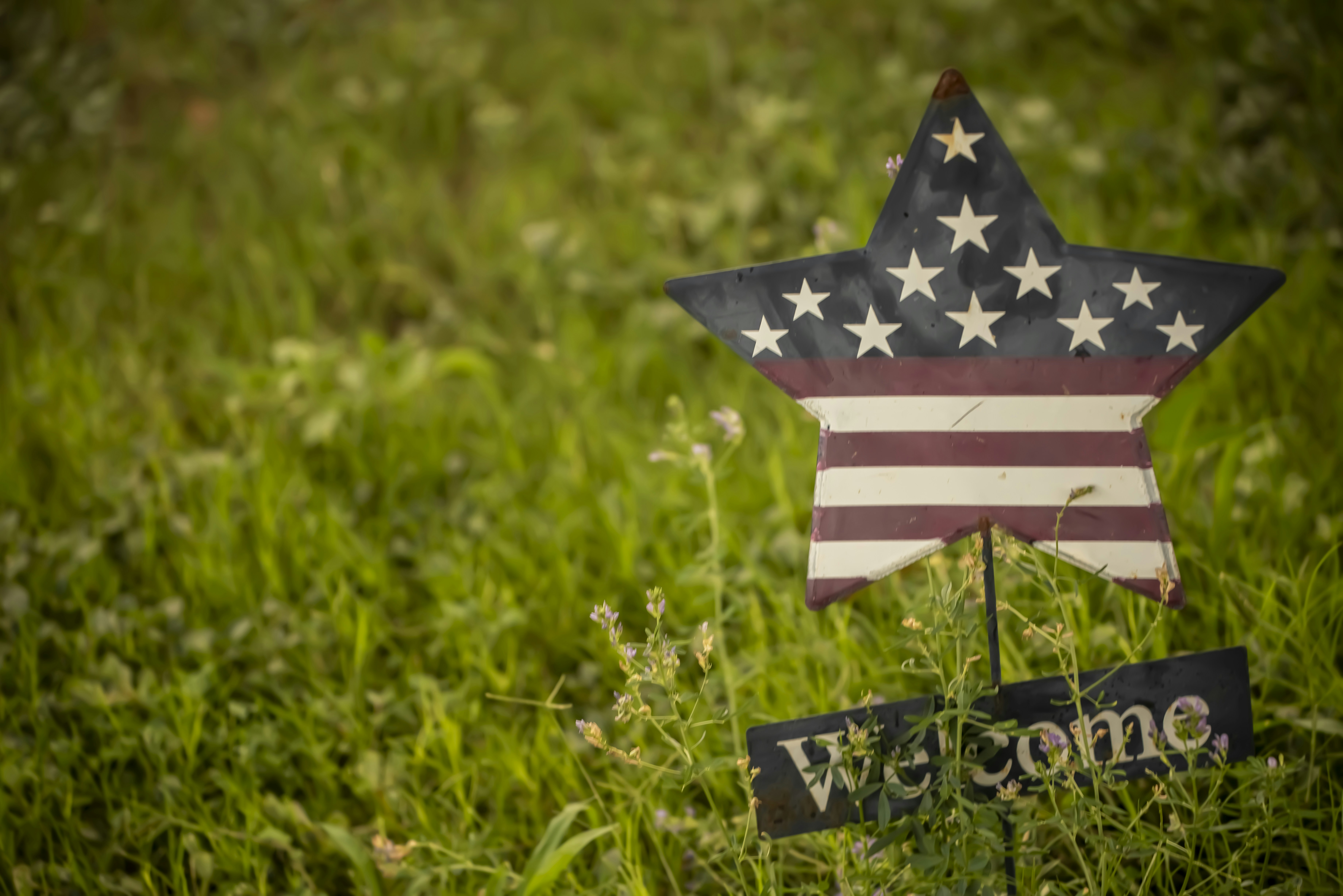 Patriotic star decoration and 'welcome' sign in green grass.