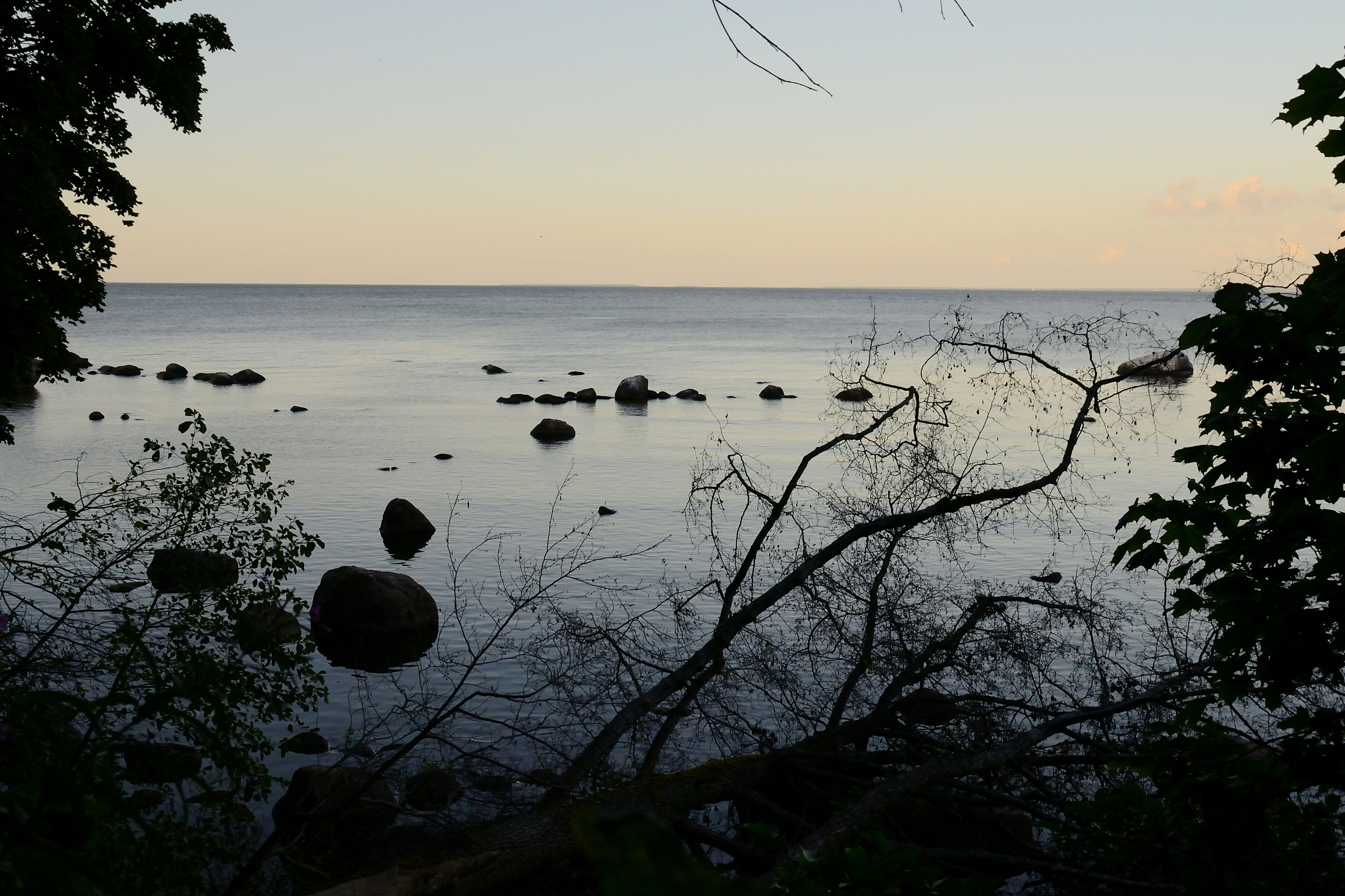 Calm water with scattered rocks framed by dark tree branches at low light