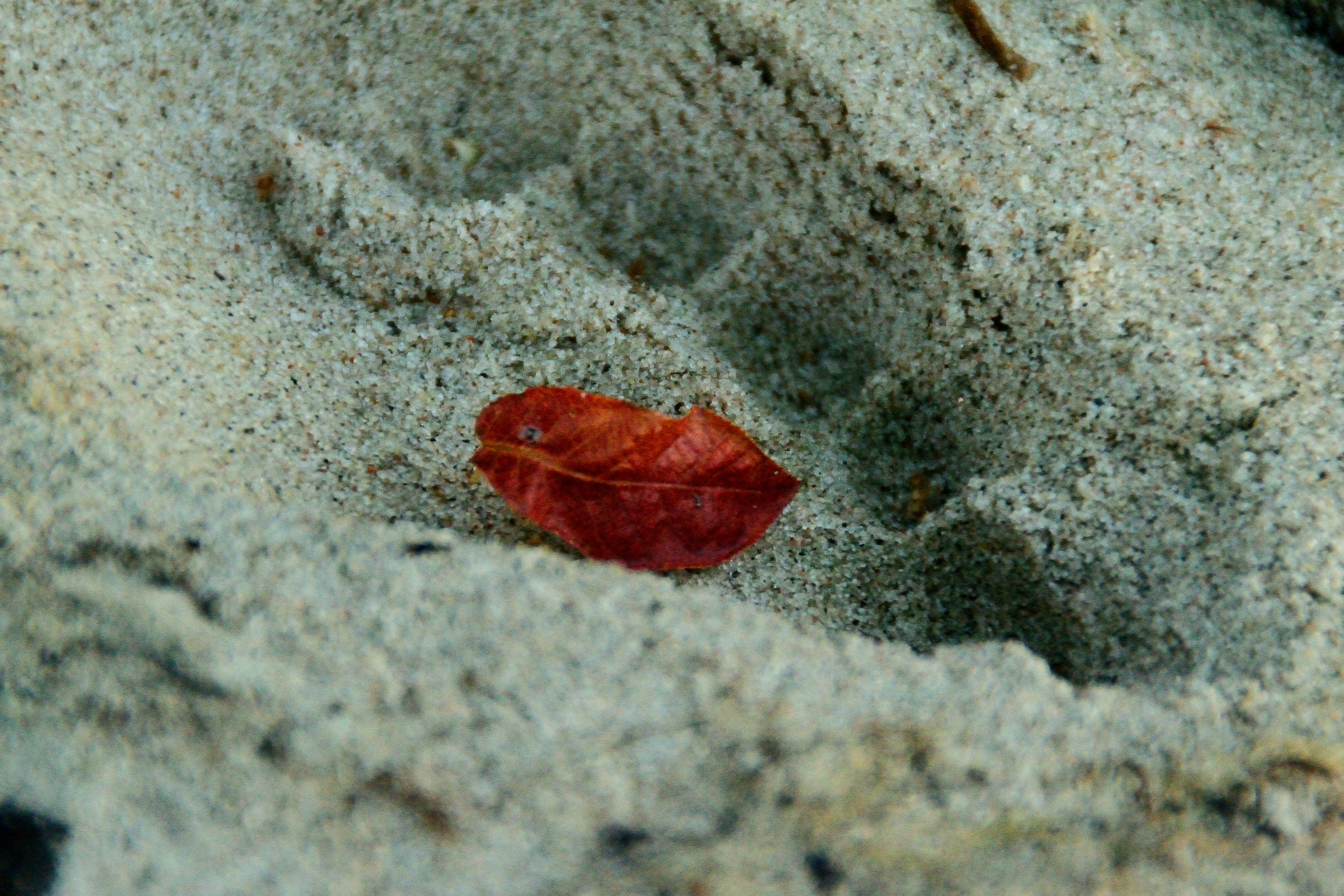 Tropical beach