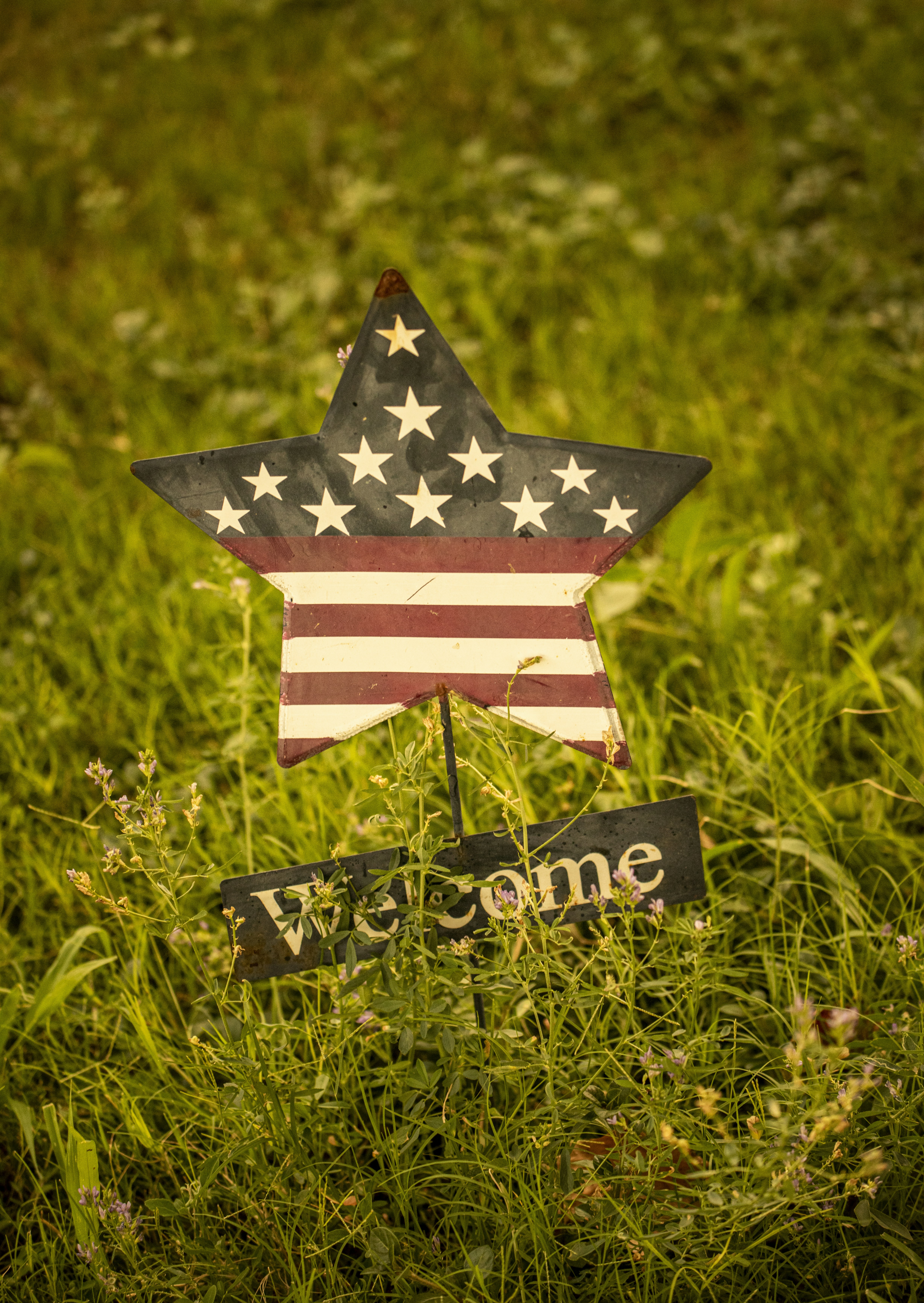 An american flag star and welcome sign in green grass.