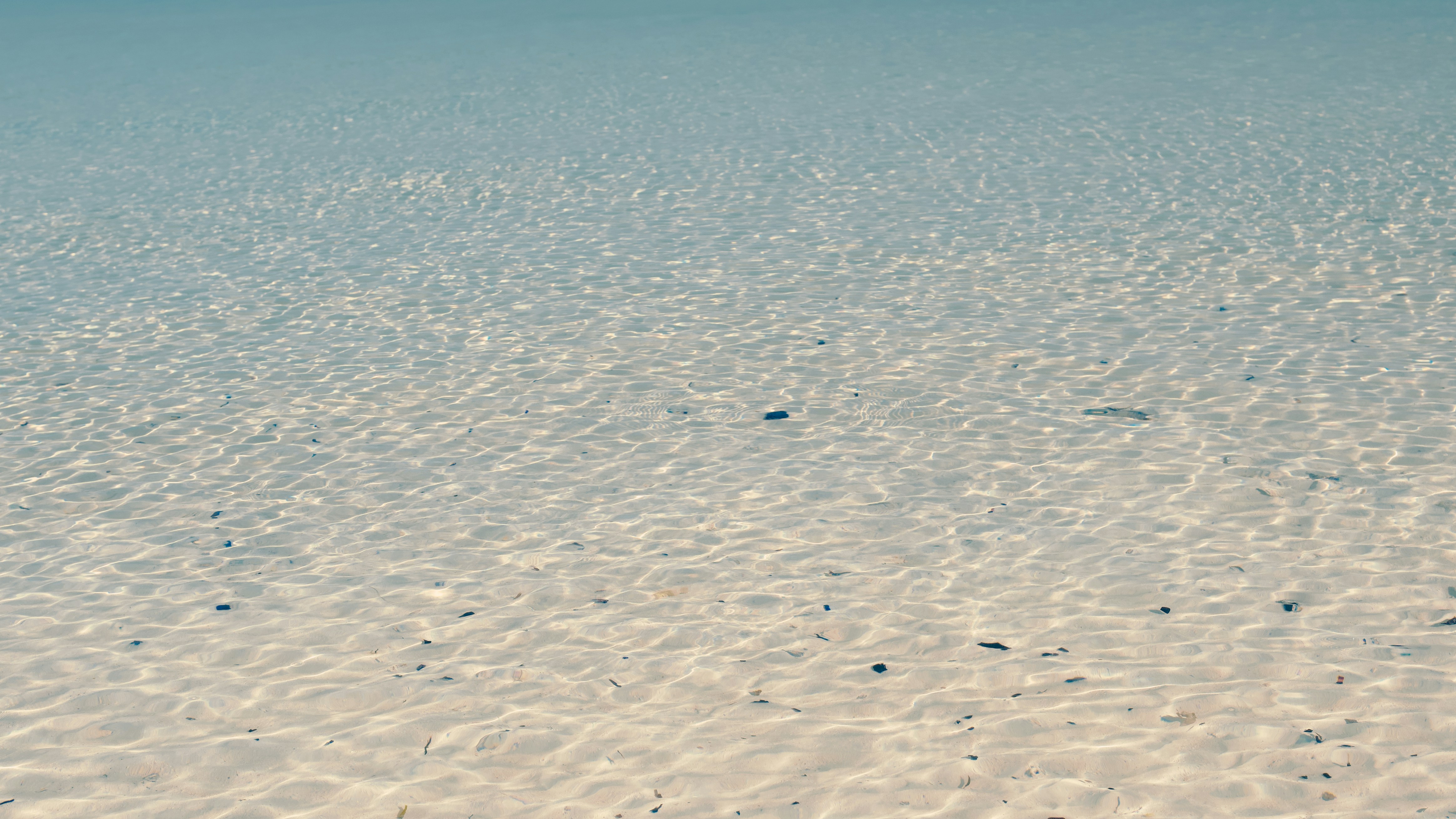 Sunlight rippling over shallow, clear water above a pale rippled sand bottom