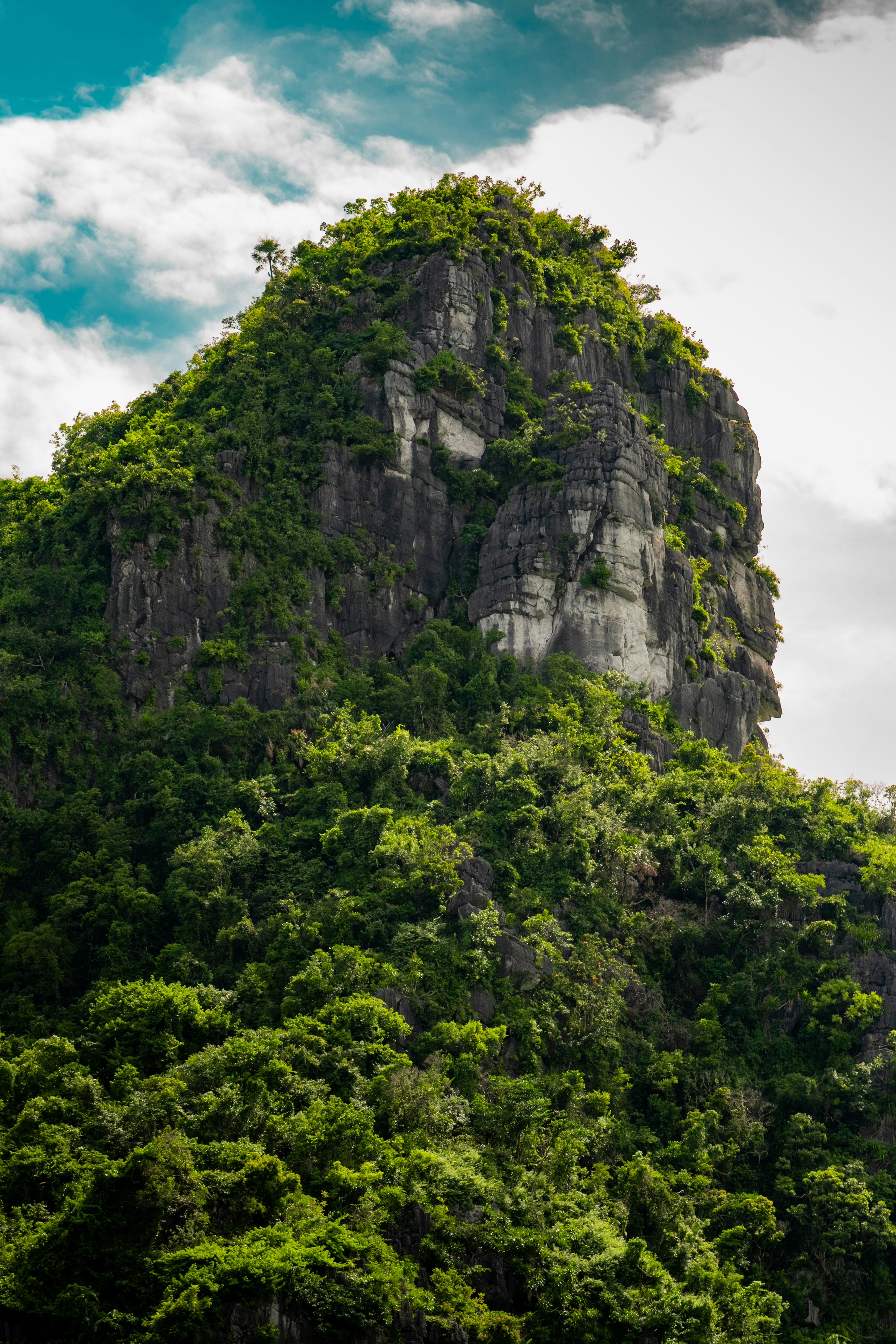 A steep limestone cliff covered in dense green vegetation under a cloudy sky