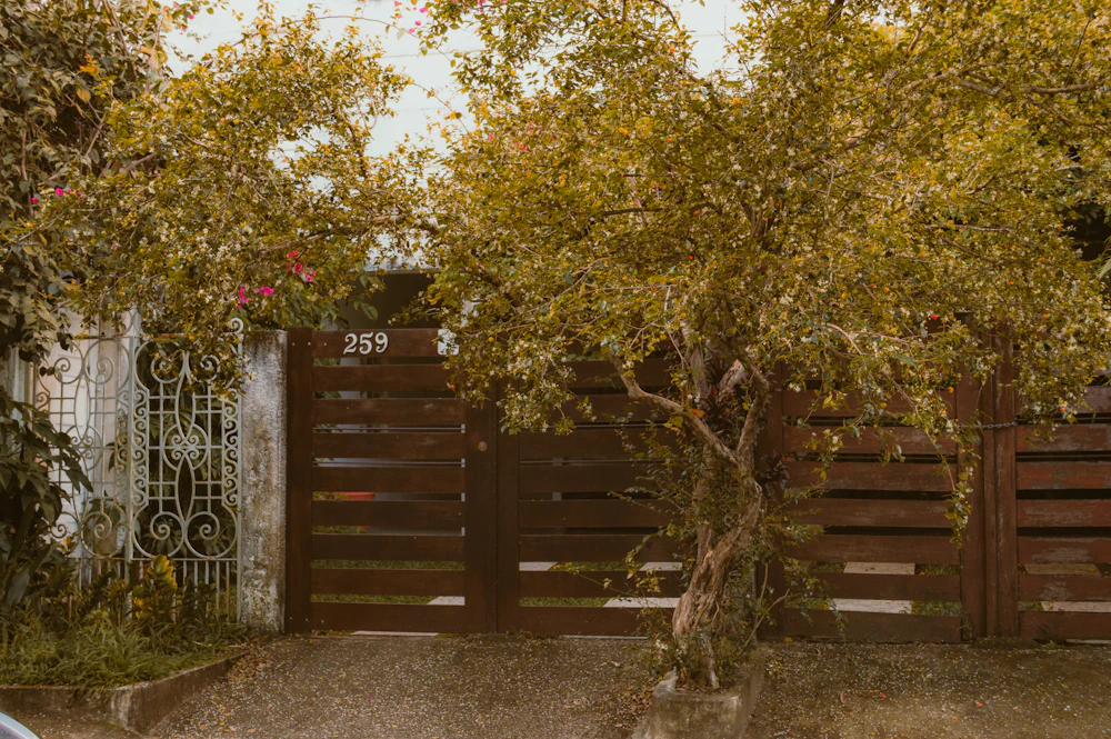 Horizontal wood privacy gate under a leafy tree