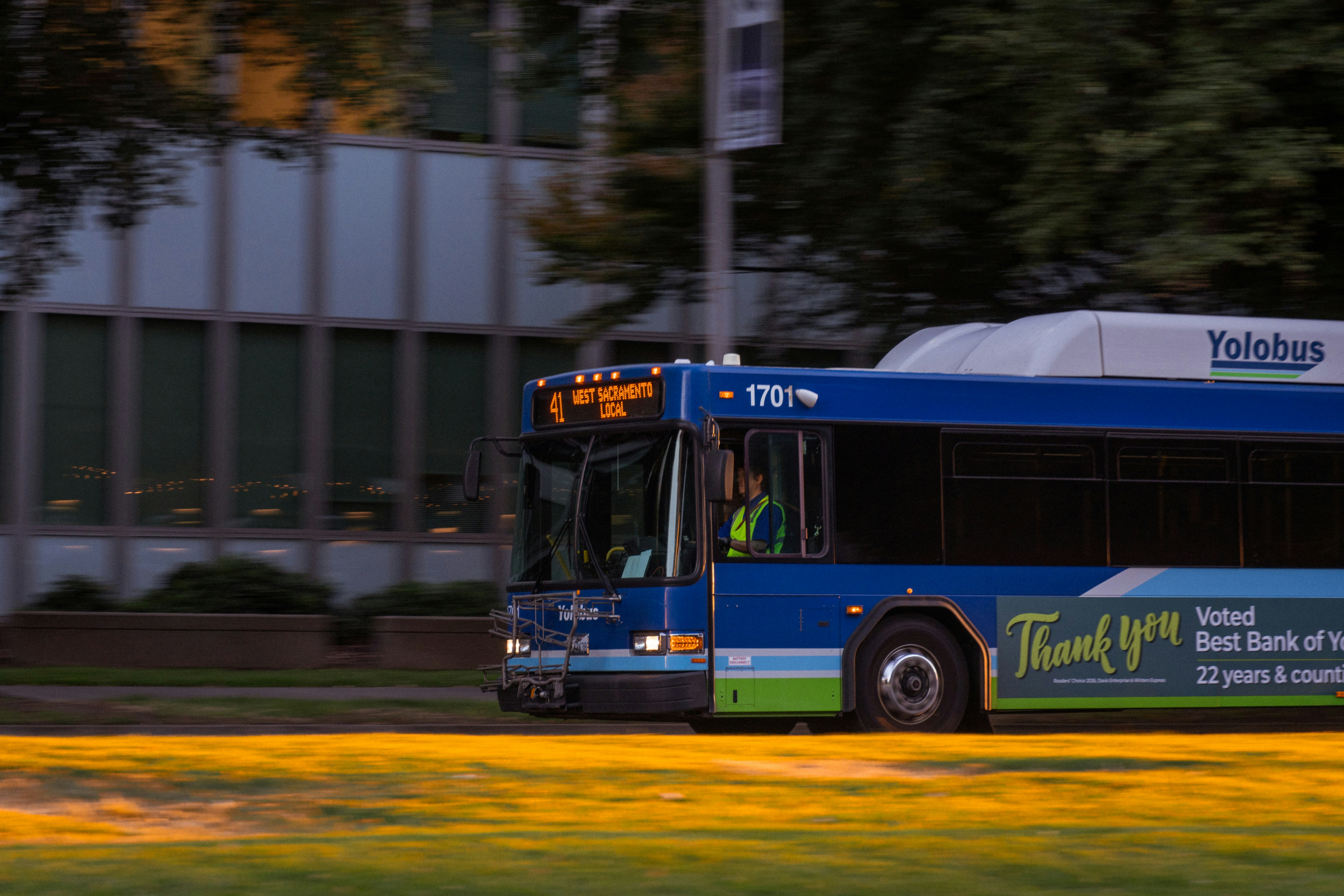A blue Yolobus transit bus driving past a building during the golden hour