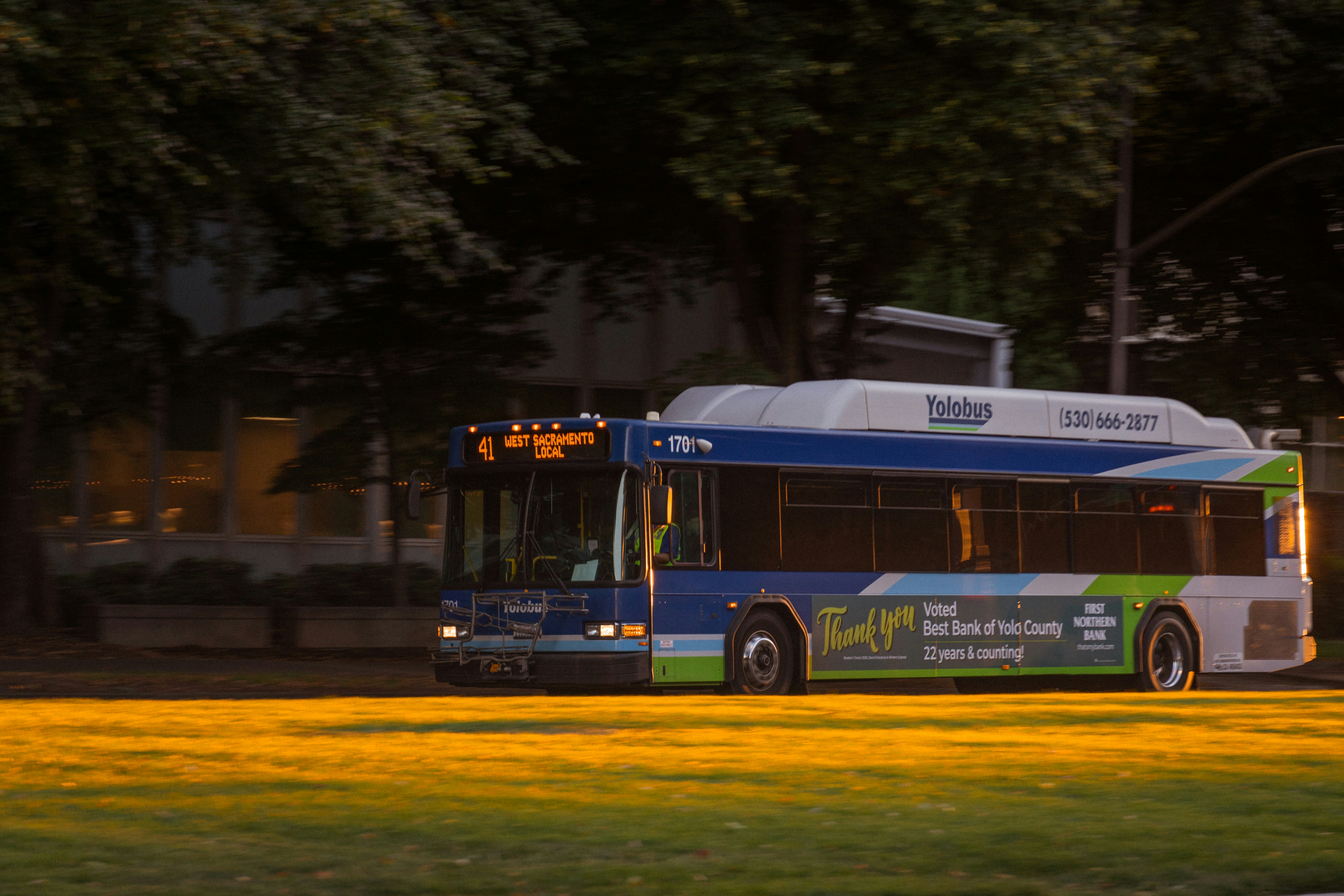 A blue and green bus driving past a grassy lawn in warm light