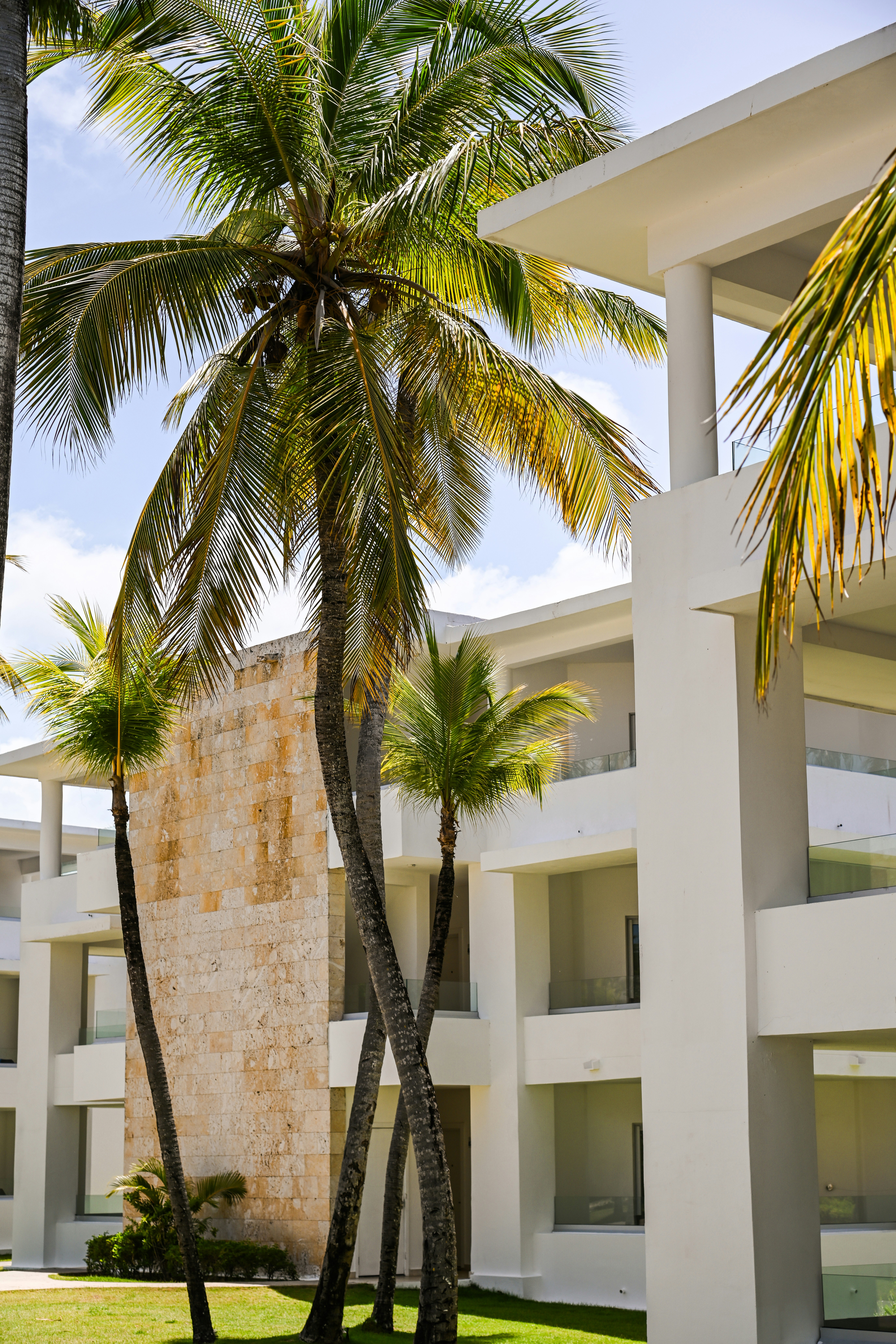 Tall palm trees in front of a modern white hotel with stone accents
