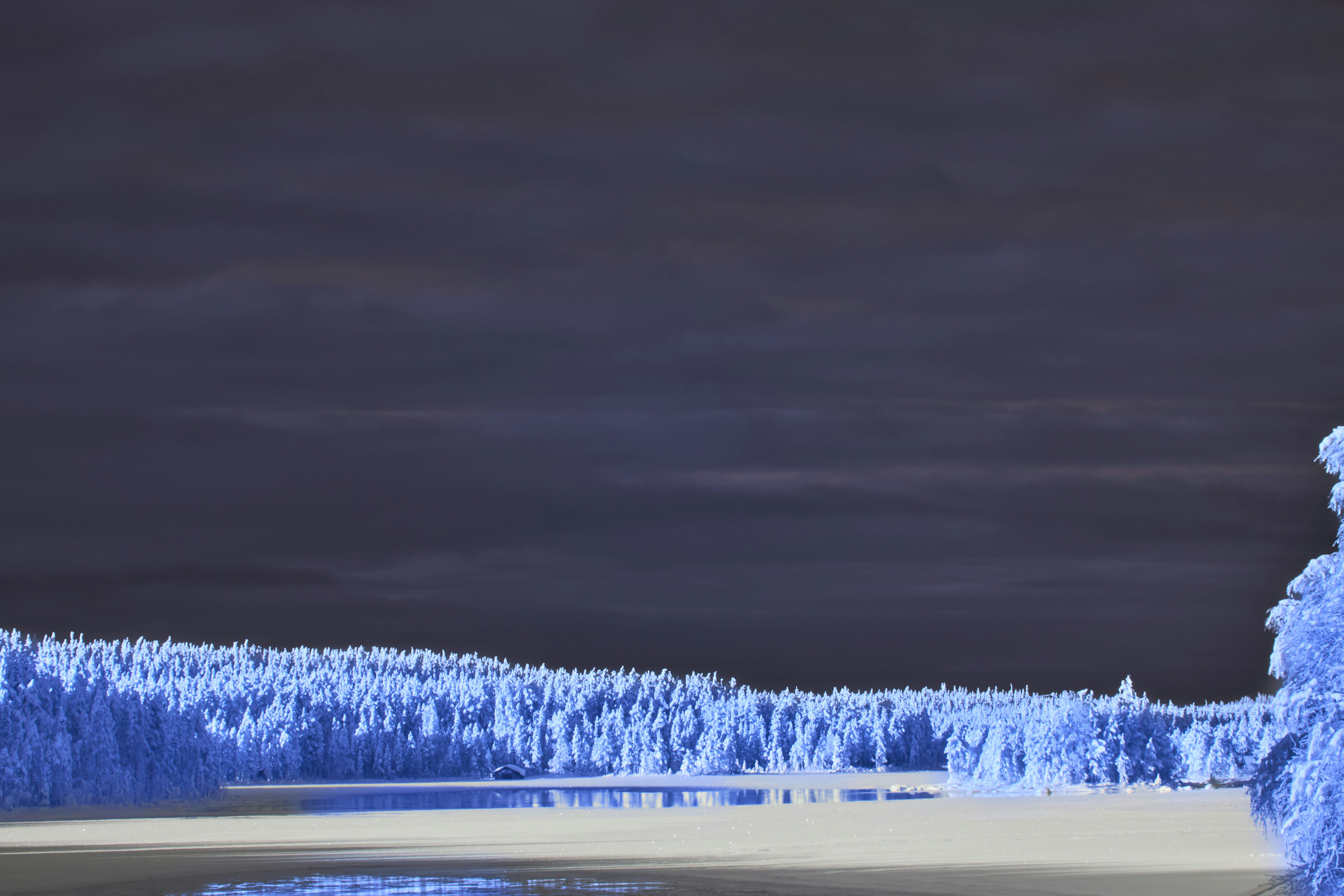 Infrared landscape with dark sky, blue trees, and frozen lake.