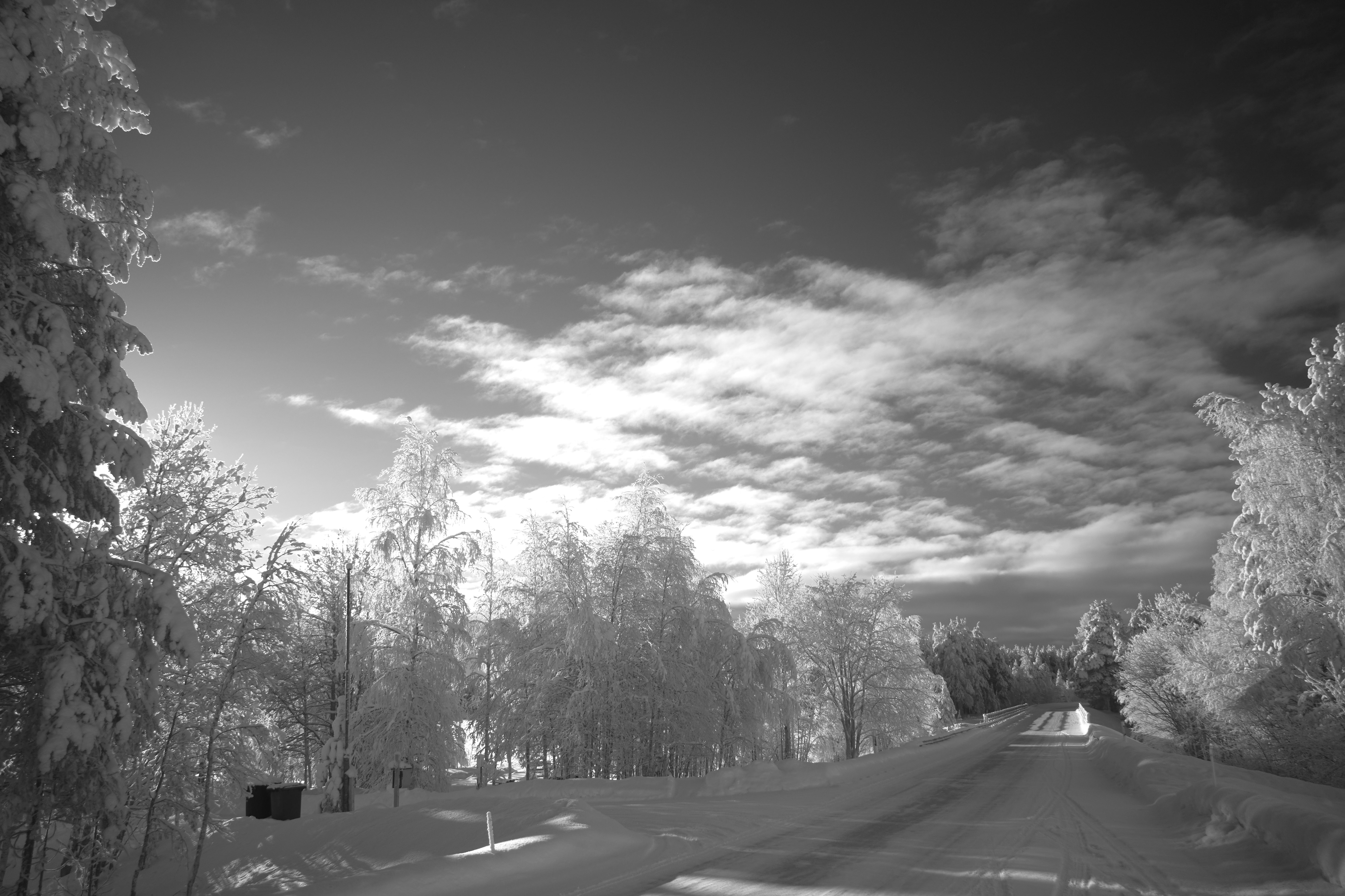 Snowy road through winter forest under a cloudy sky.