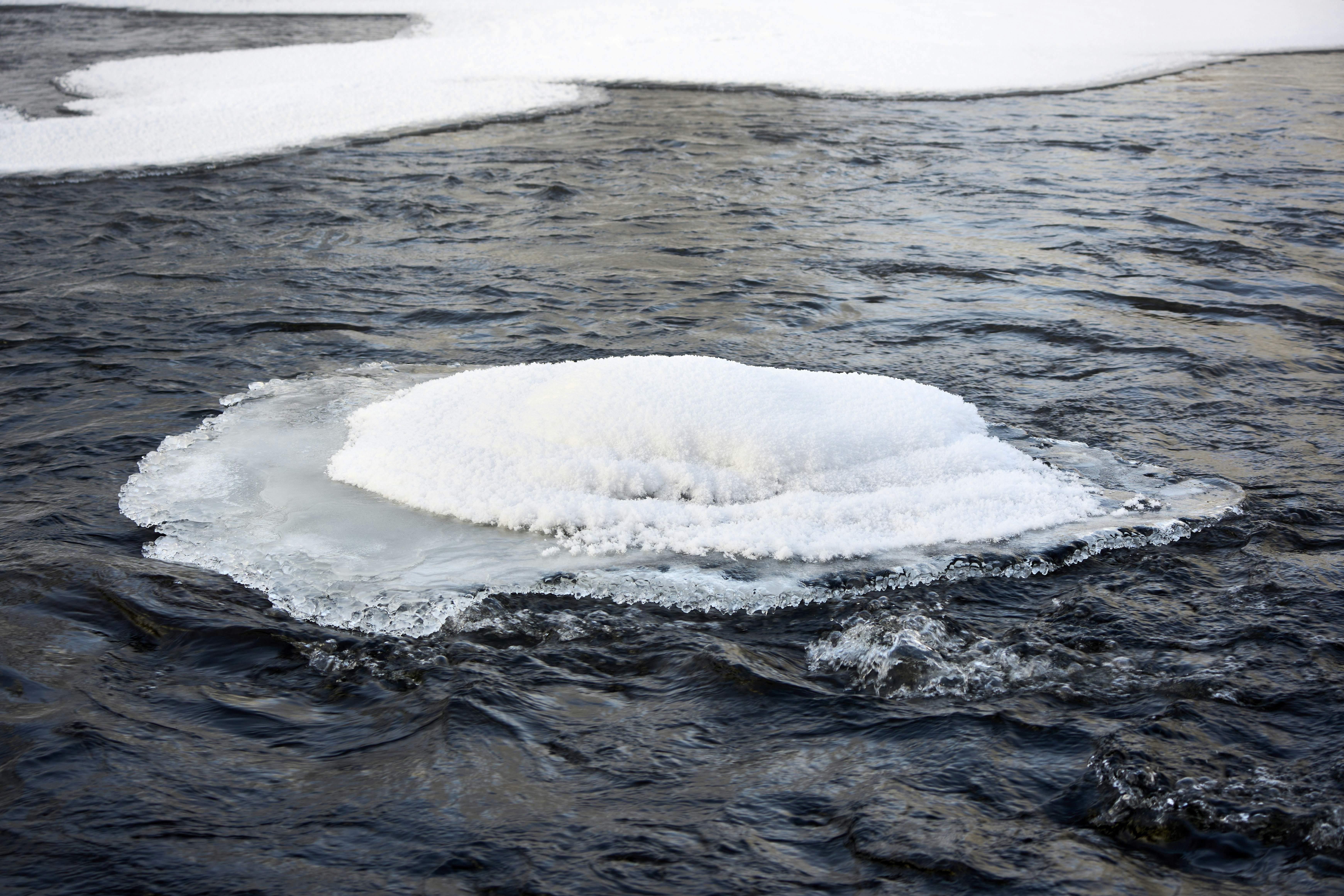 A large piece of ice floats in dark, rippling water.