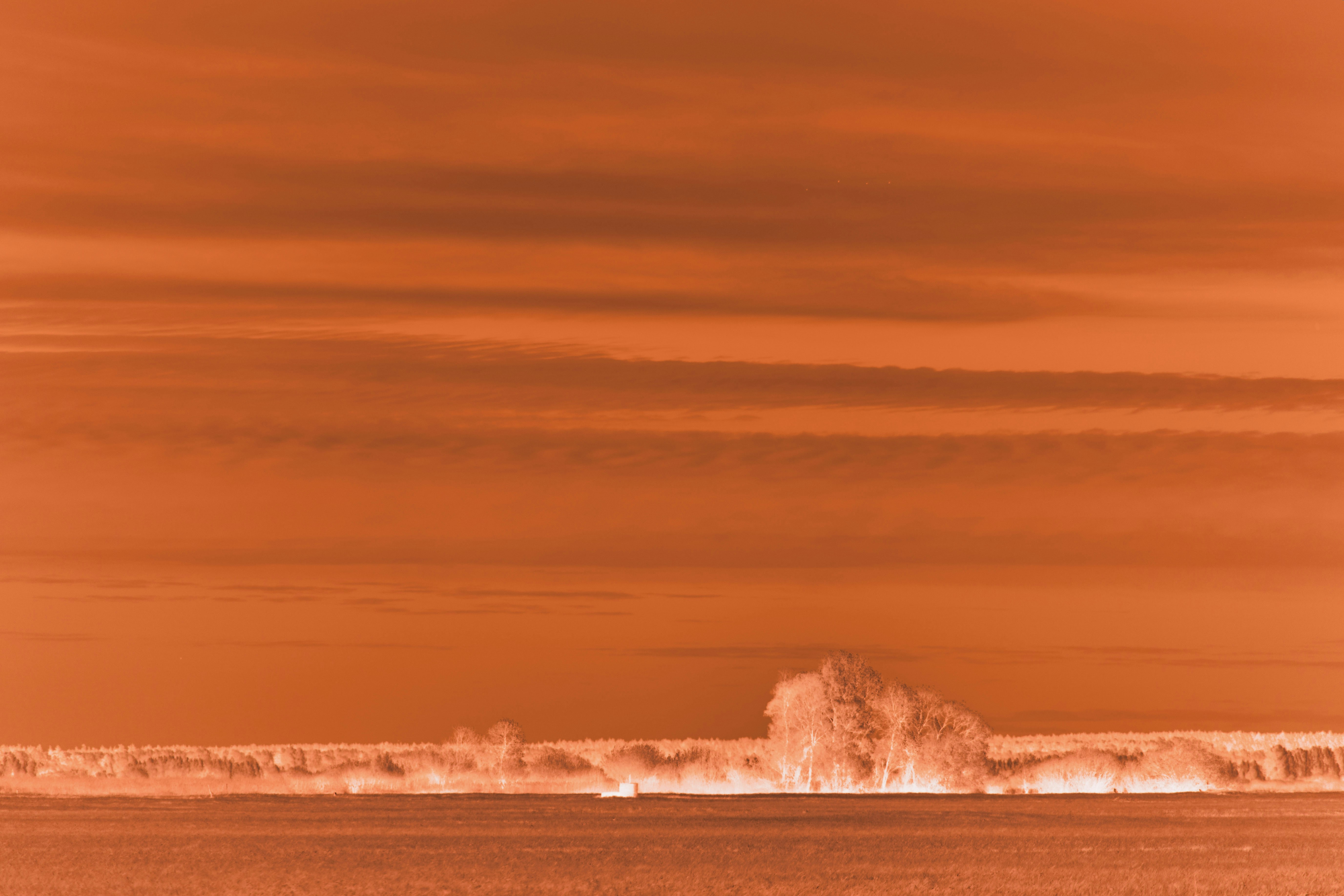 An orange-toned landscape with a wide sky and distant trees.