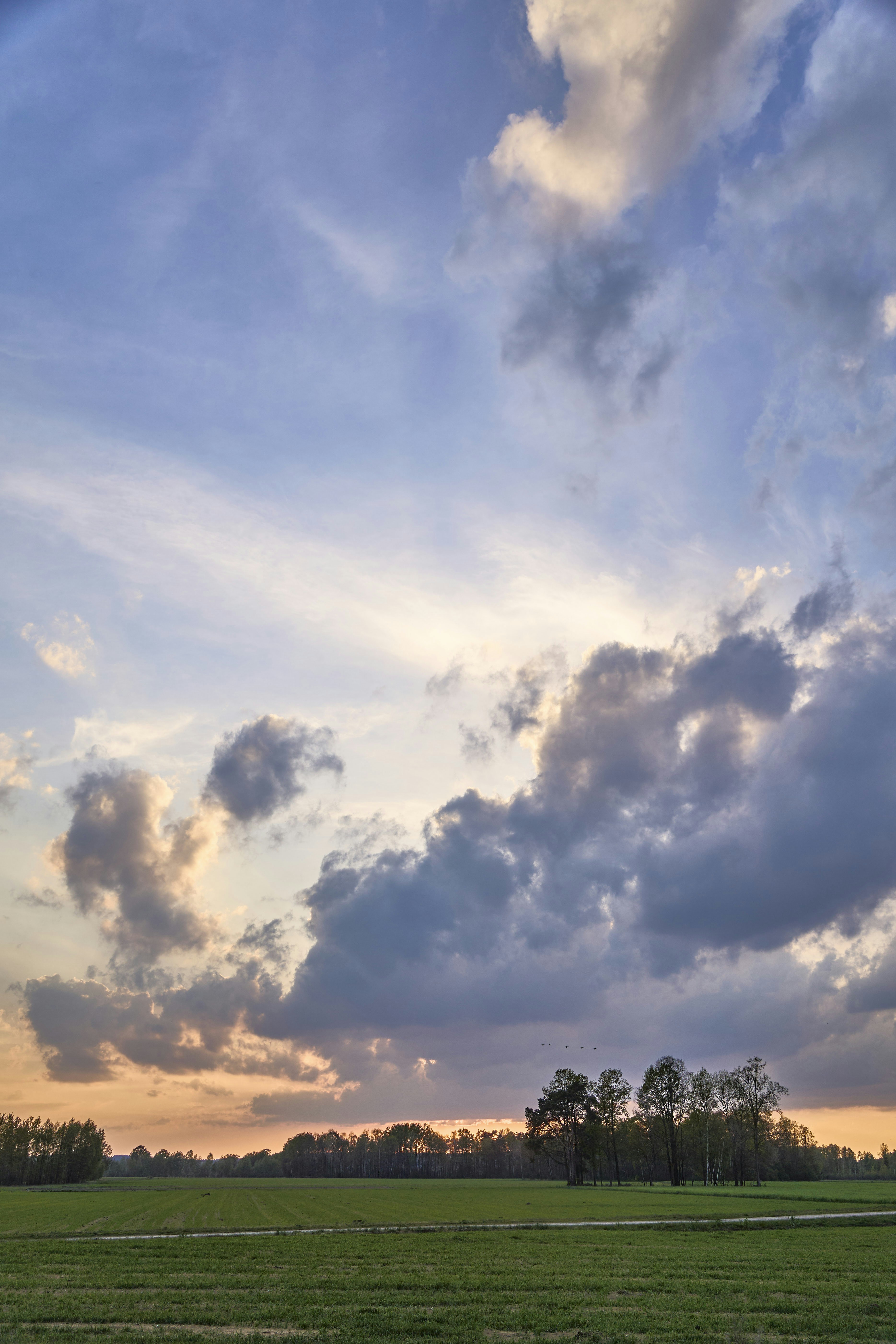 Colorful clouds over a green field and trees at sunset.