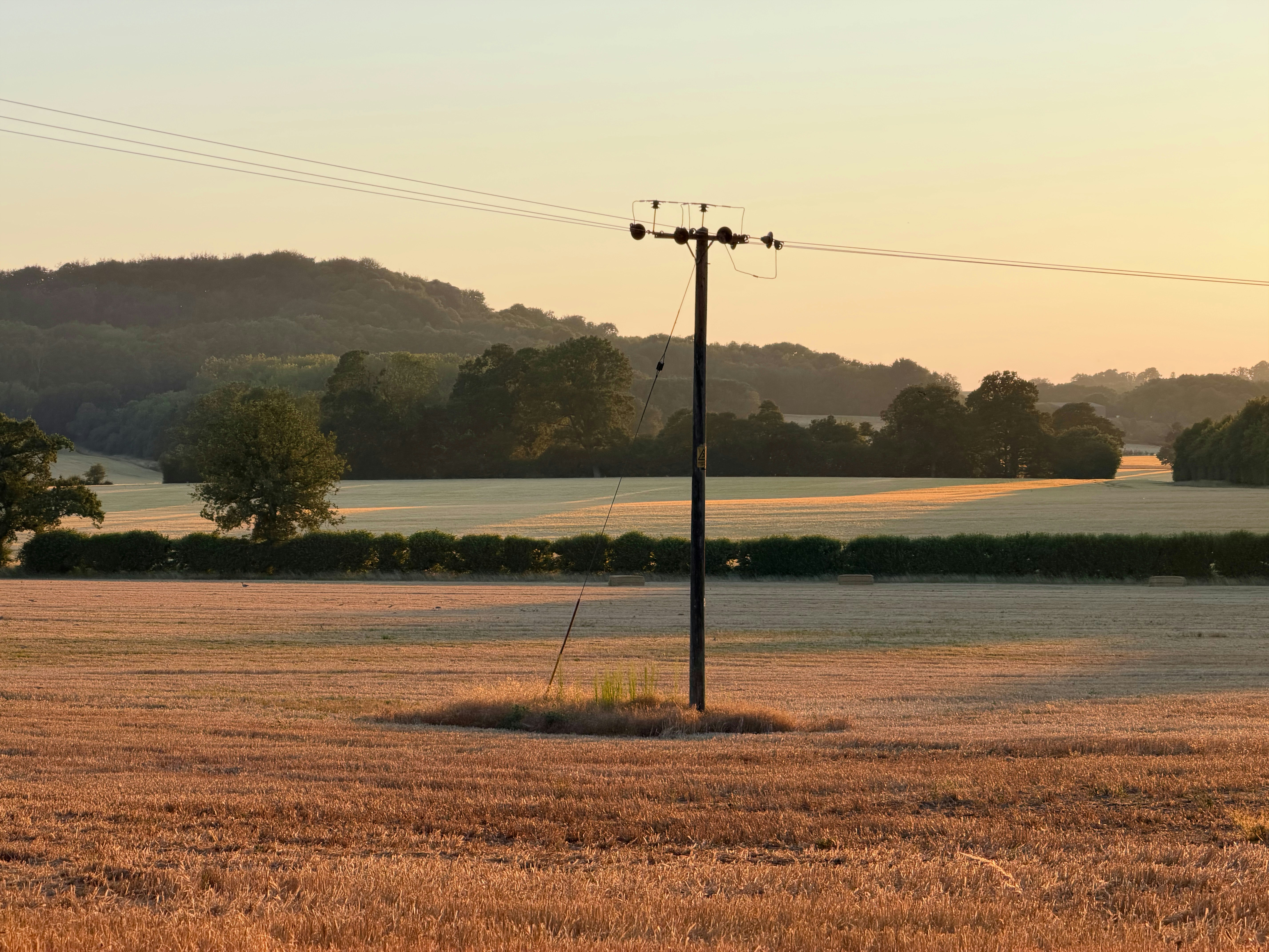 A utility pole in a harvested field under a warm golden hour sky