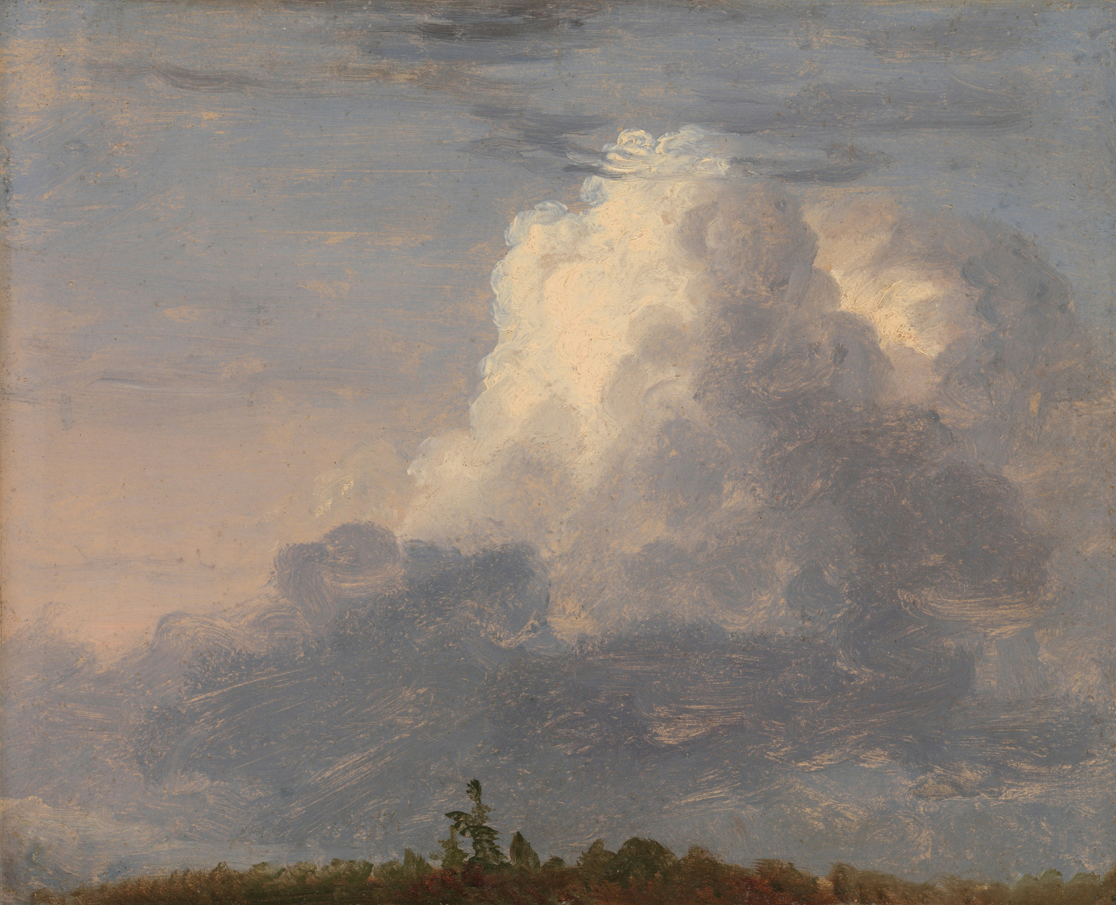 A large white cumulus cloud above a dark treeline against a blue sky.