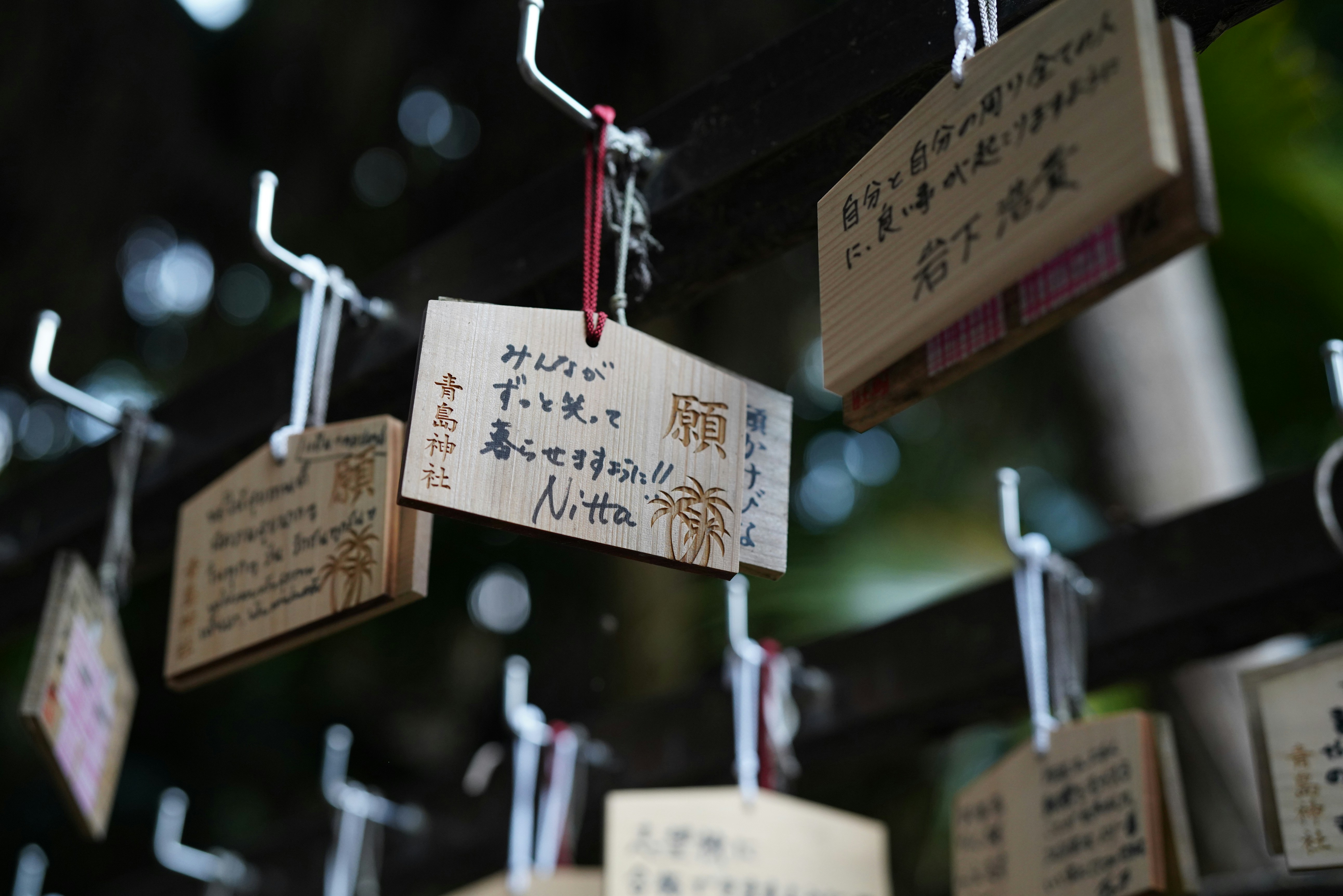 Wooden prayer plaques hanging from metal hooks at Aoshima Shrine in Japan