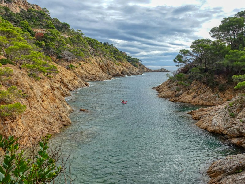 Kayaking through a rocky sea inlet between pine-covered cliffs