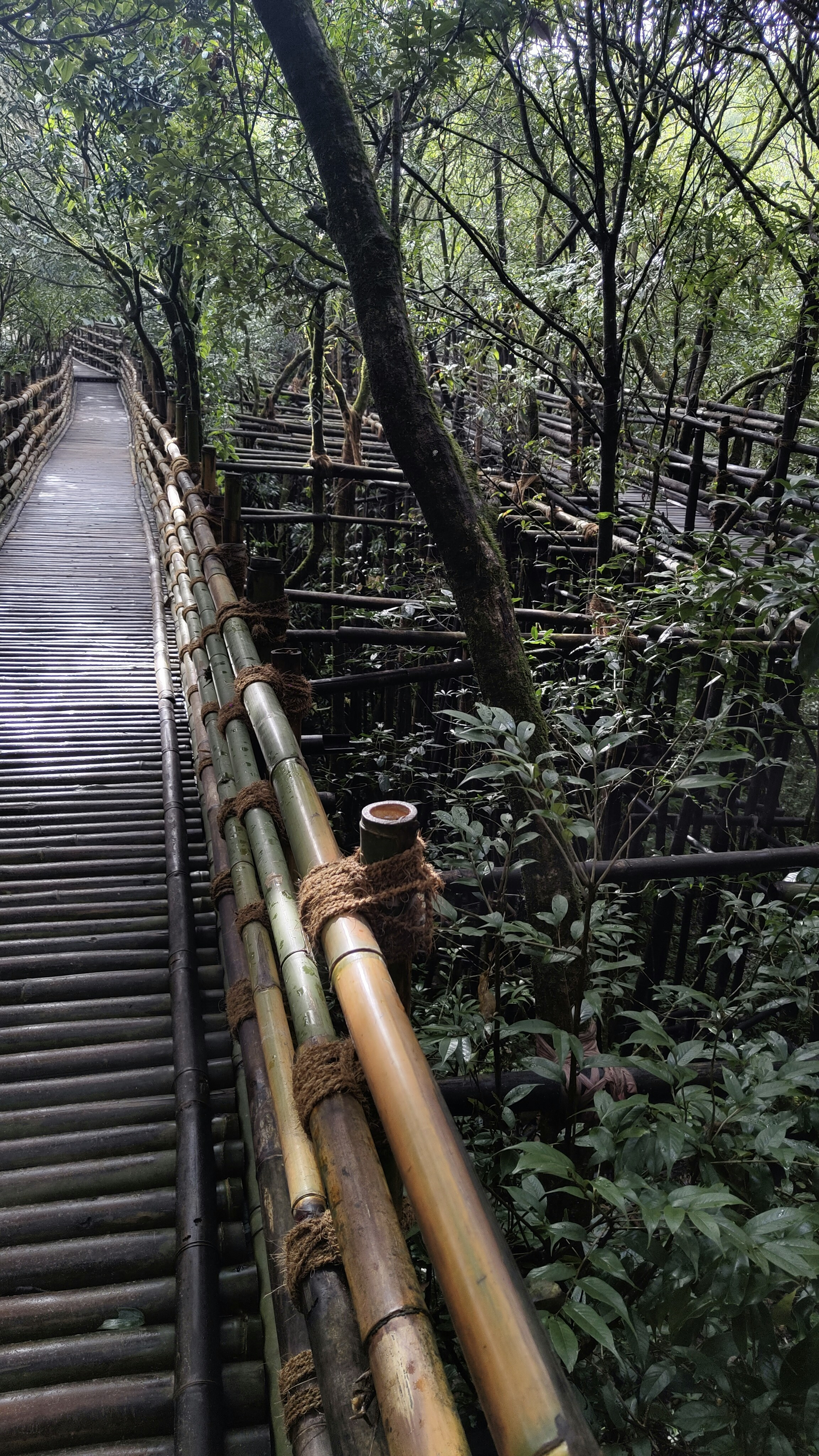 meghalaya11