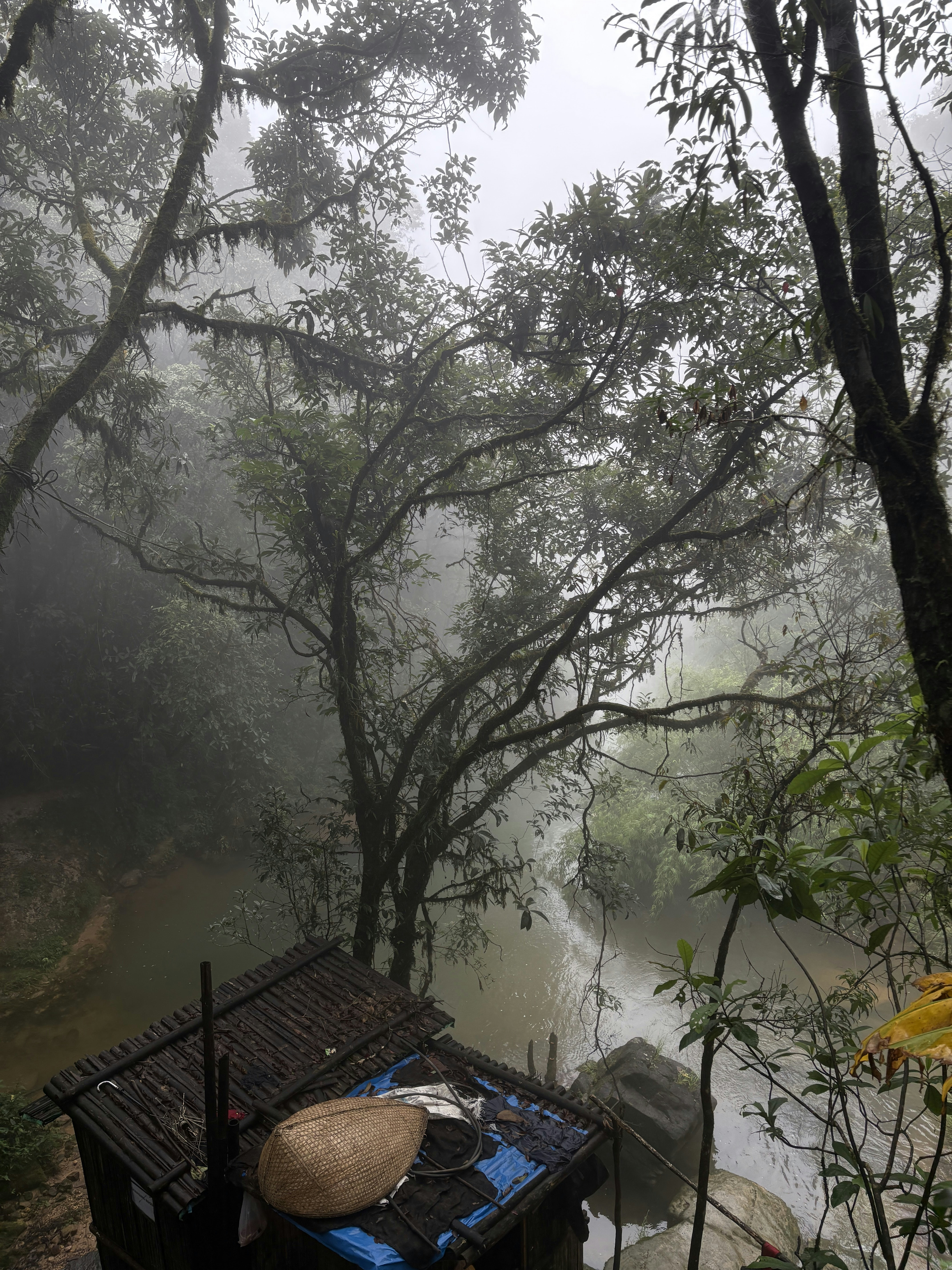 meghalaya12